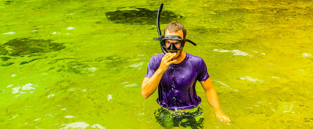 caribbean adventure snorkeling dolphin watching  snorkeling 1.jpg