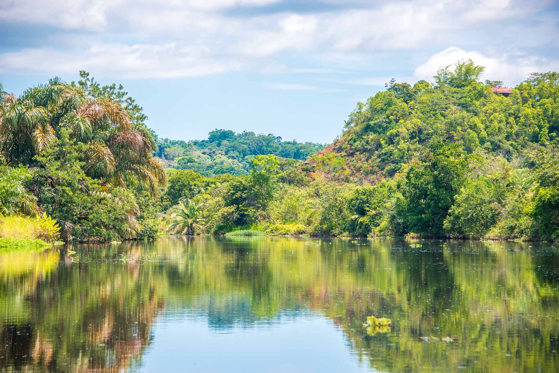Sierpe Canal Reflexions Going To Chocuaco Waterfalls