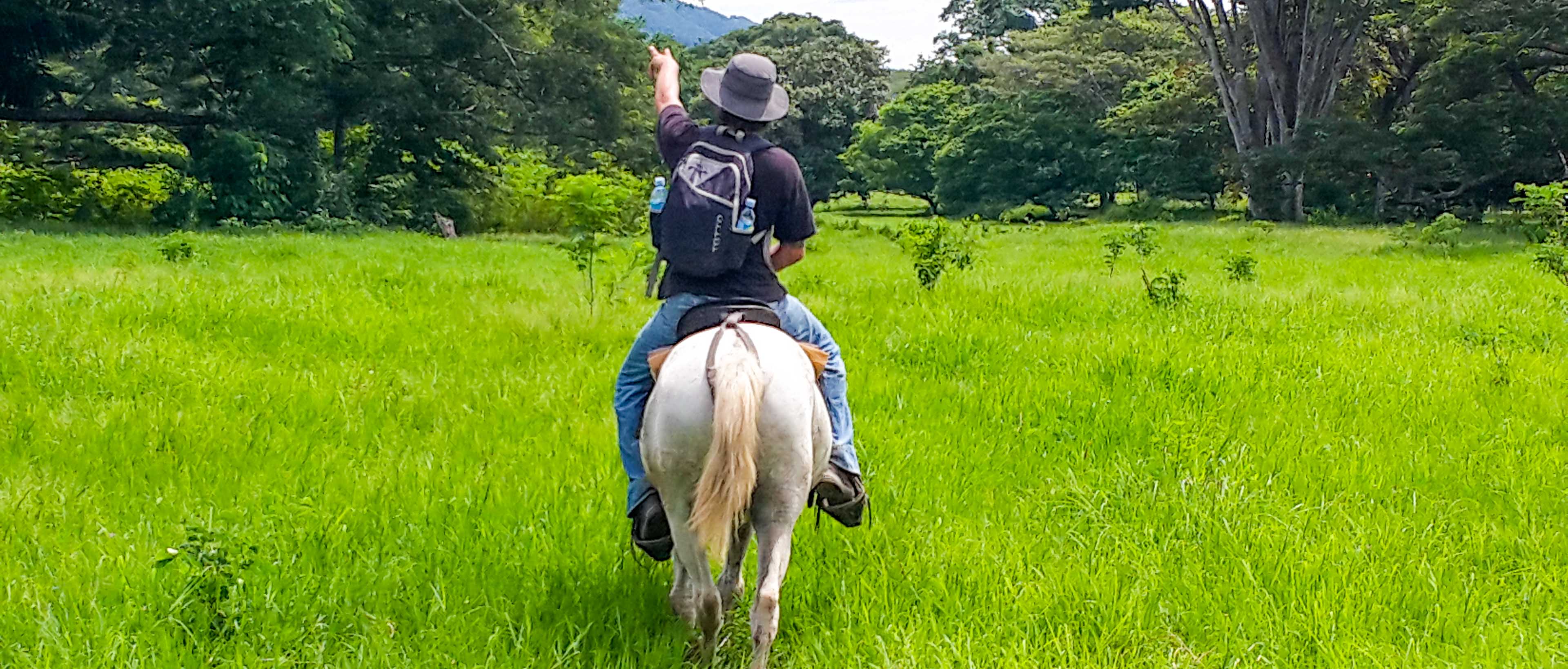 Horseback Riding In Flat Land