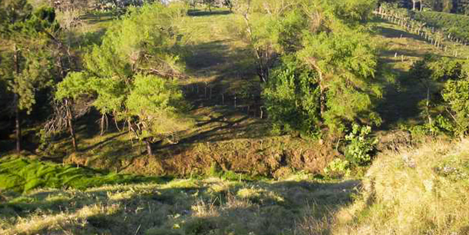 parcel for urban development in the eastern side of san jose view 004.jpg