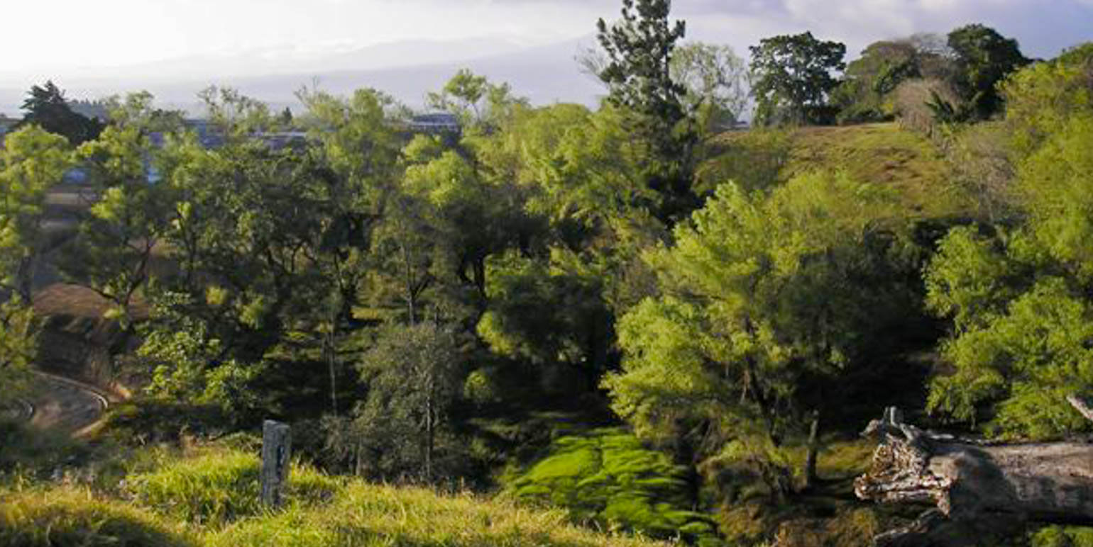 parcel for urban development in the eastern side of san jose view 005.jpg