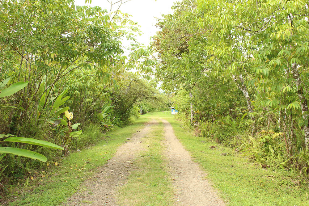 Sphere Park Entrace Path
