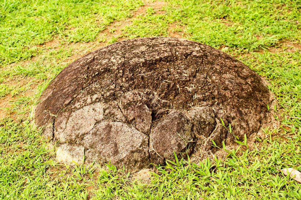 extra sierpe finca 6 sphere park 48.jpg