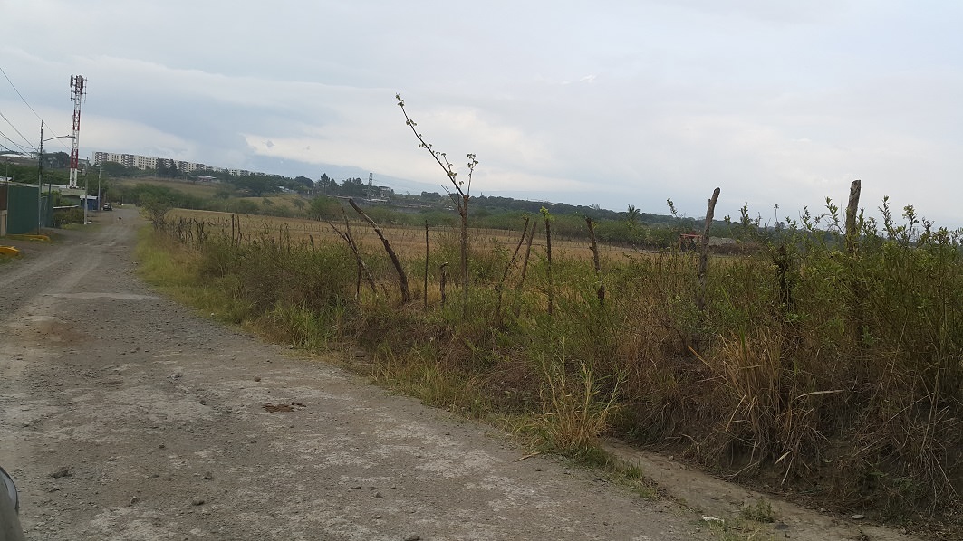 development land opportunity in santa ana view.jpg