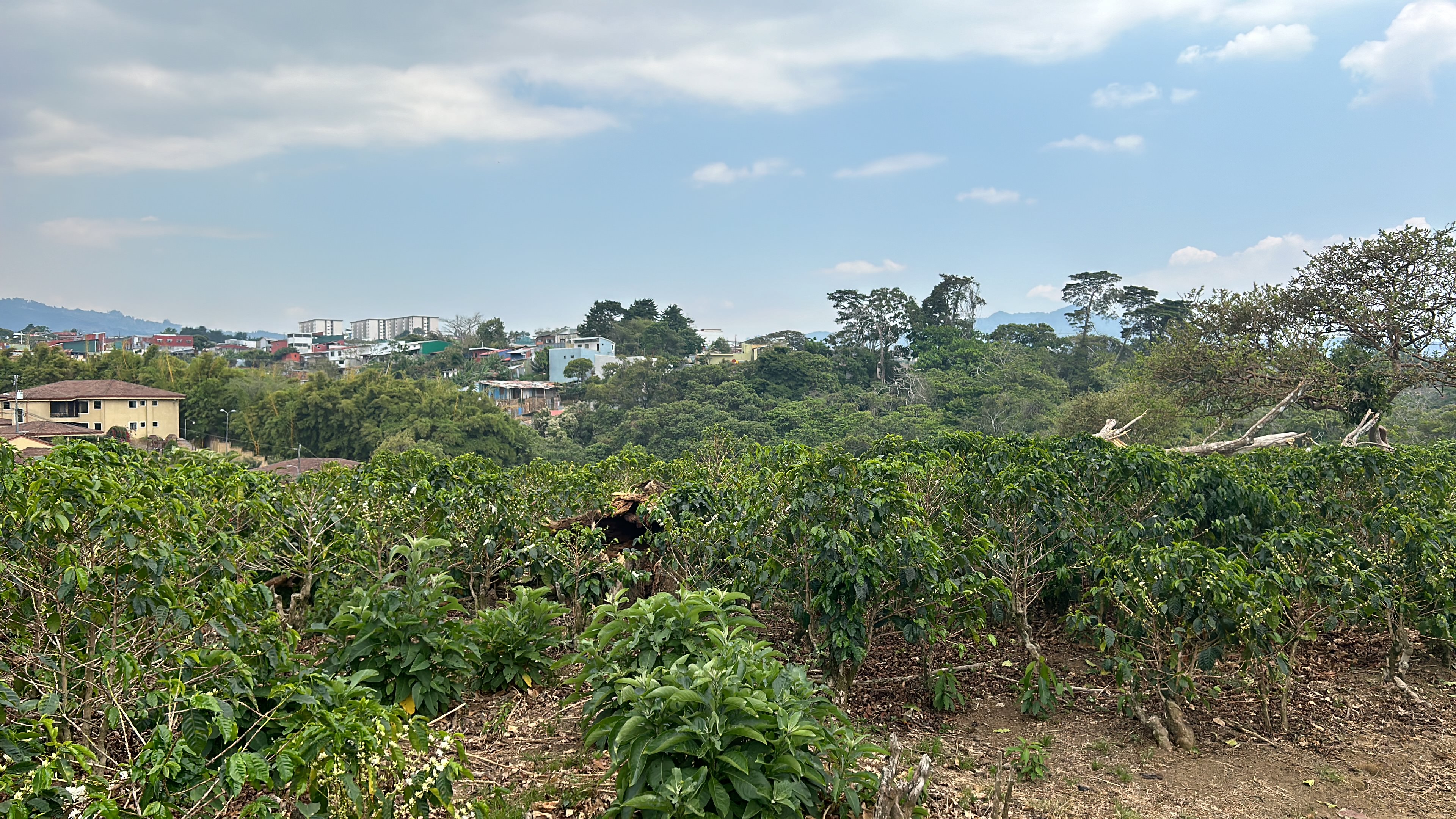 cul de sac residential development lot view 012.jpg