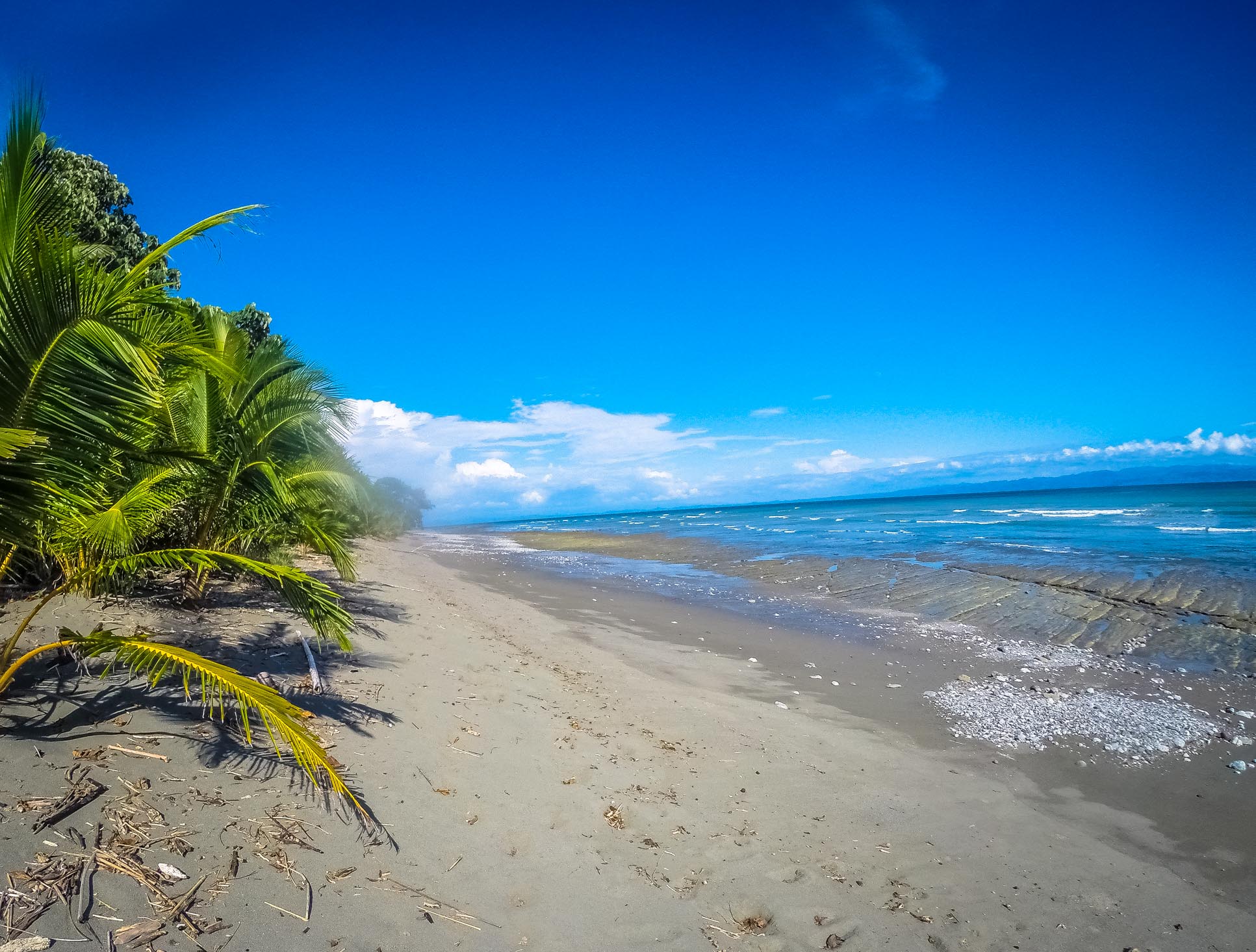 Playa Sombrero Pollo Surf School Matapalo