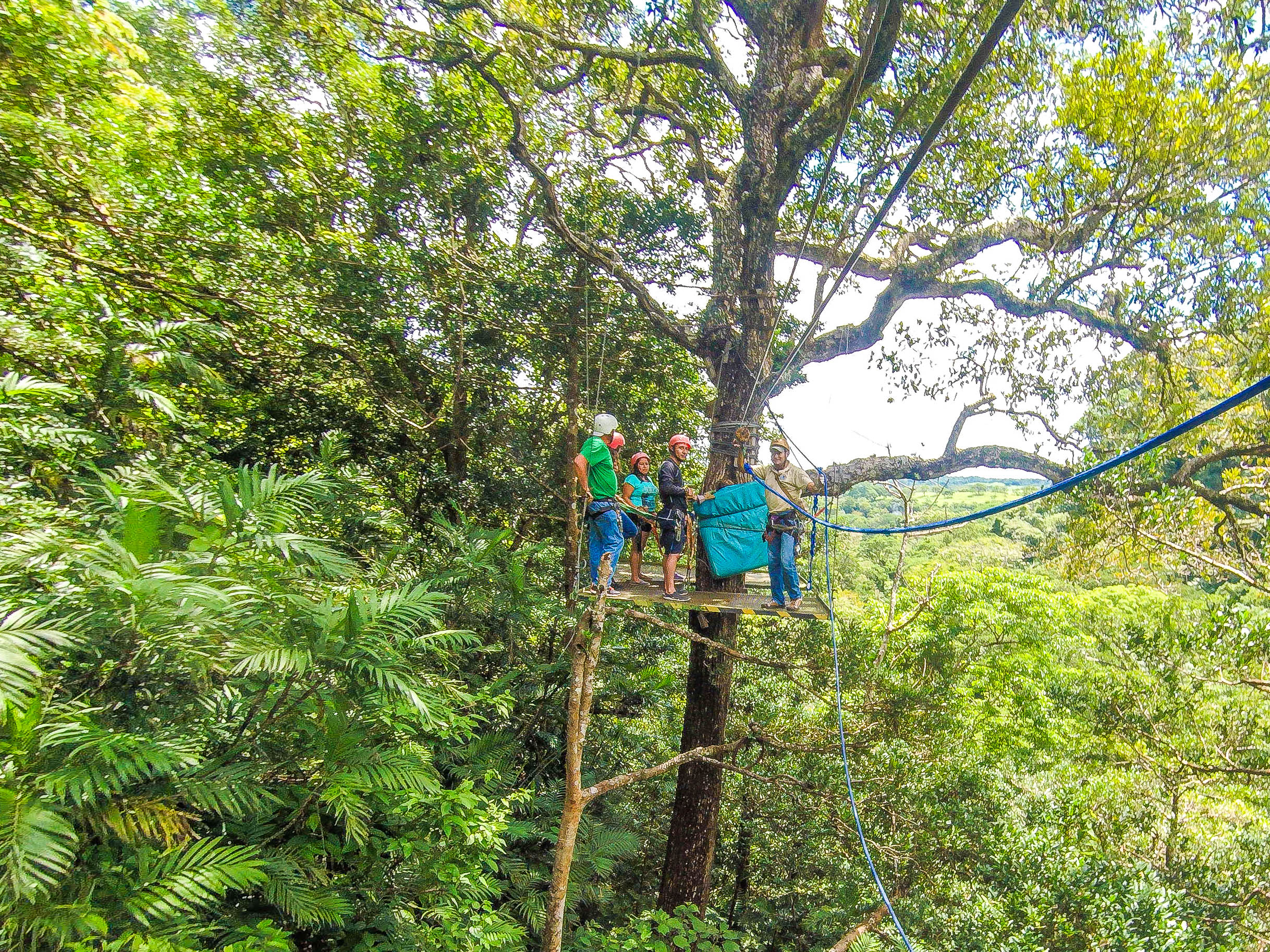 Tree Platform Tizati Zip Line Rincon De La Vieja