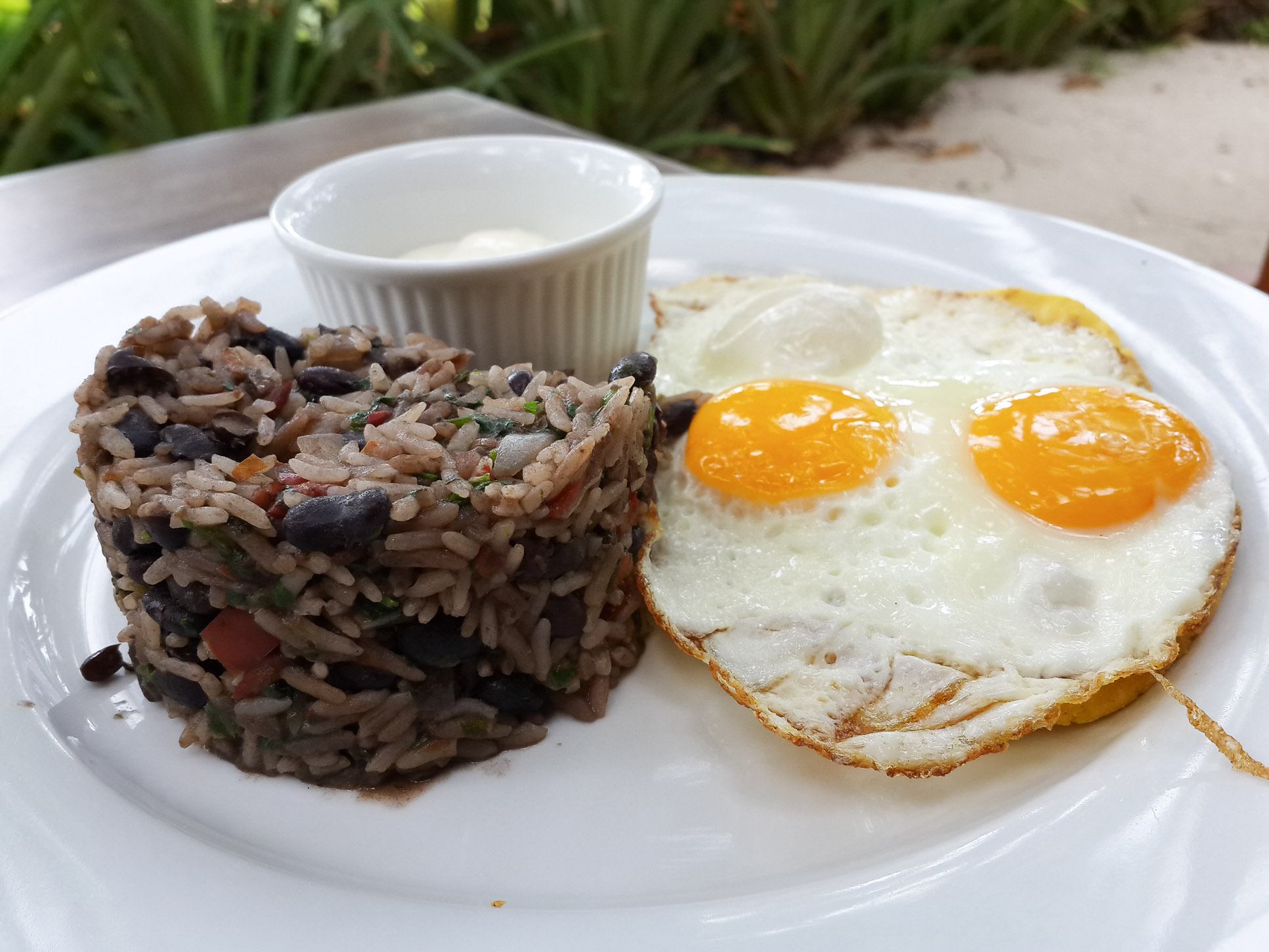 Gallo Pinto Shambala Restaurant