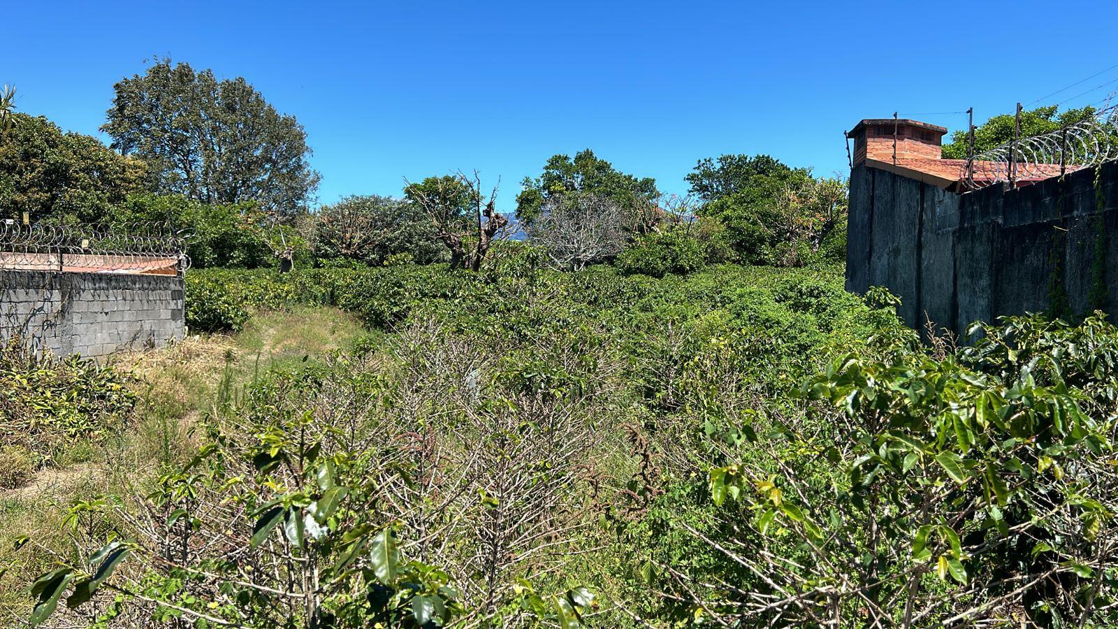 repurpose a coffee farm into a turn key mixed use development complex view 008.jpeg