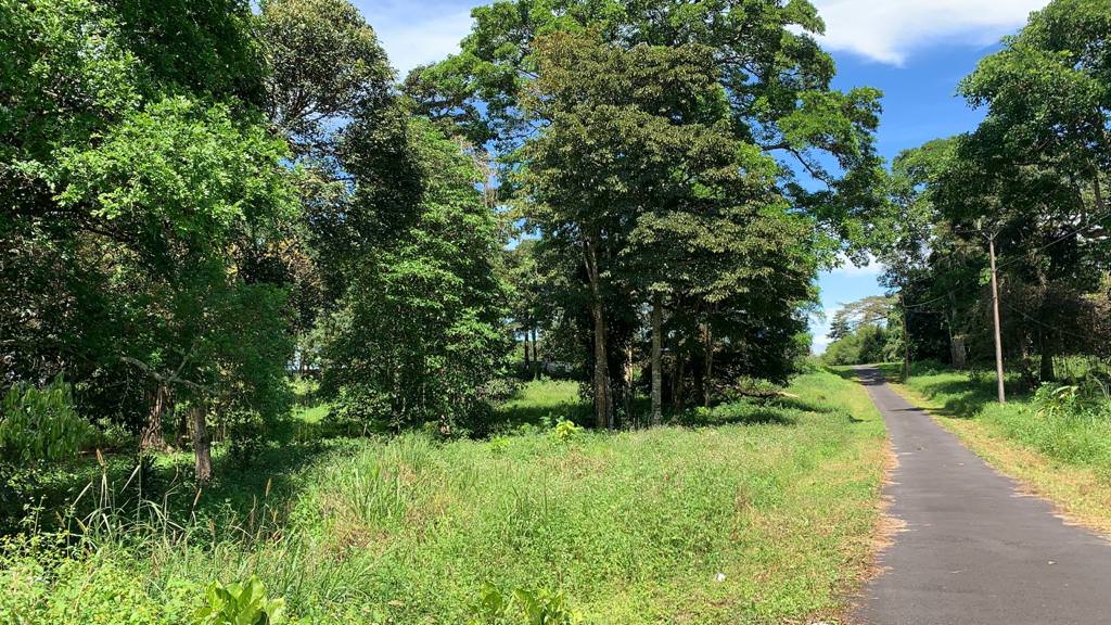 land for residential development in lomas de ayarco view 005.jpg