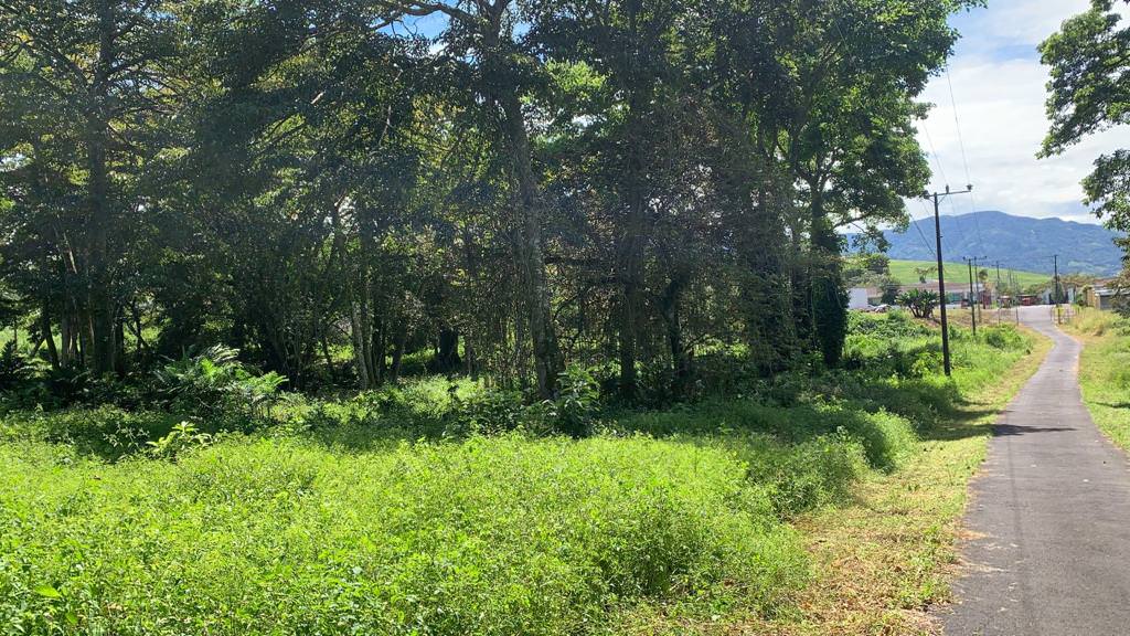 land for residential development in lomas de ayarco view 003.jpg