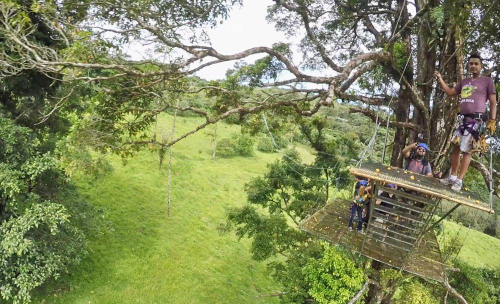Tree Platform Blue River Zipline