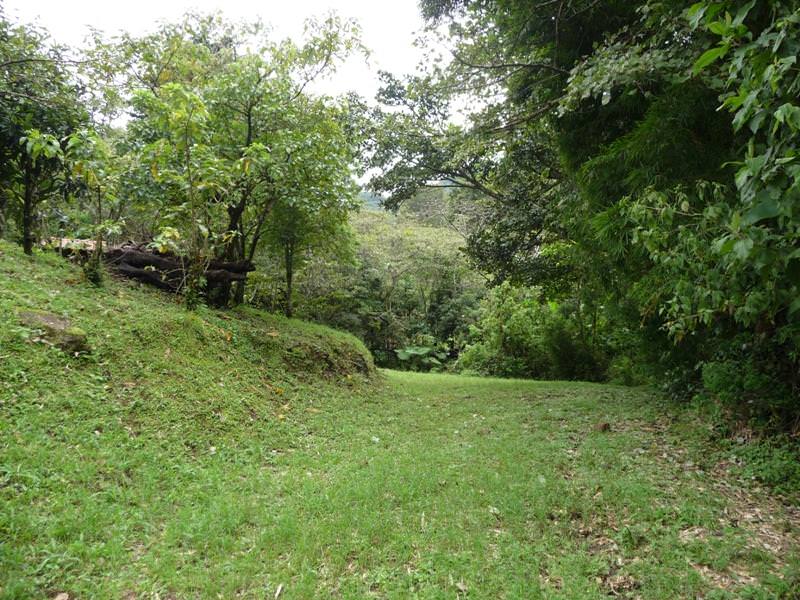 building parcel in alajuela city view 003.jpg