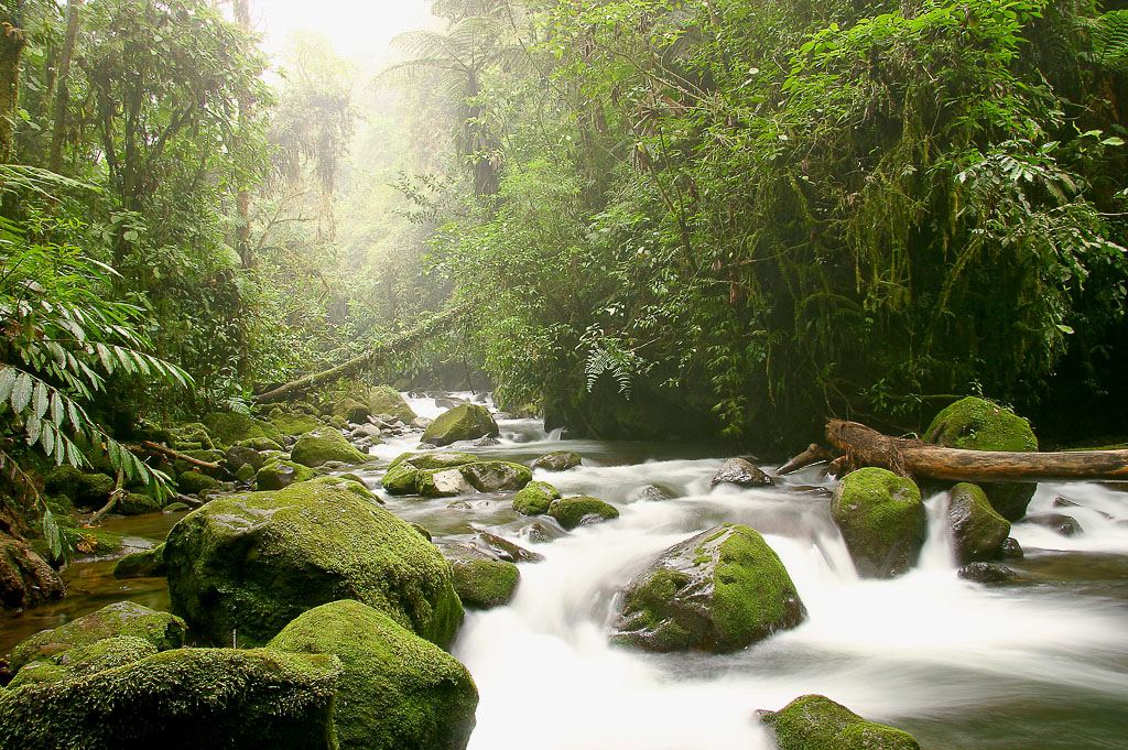 river waterfallgardens 34.jpg