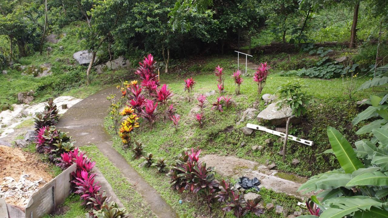 land with structures for wildlife rescue center in santa ana view 013.jpeg