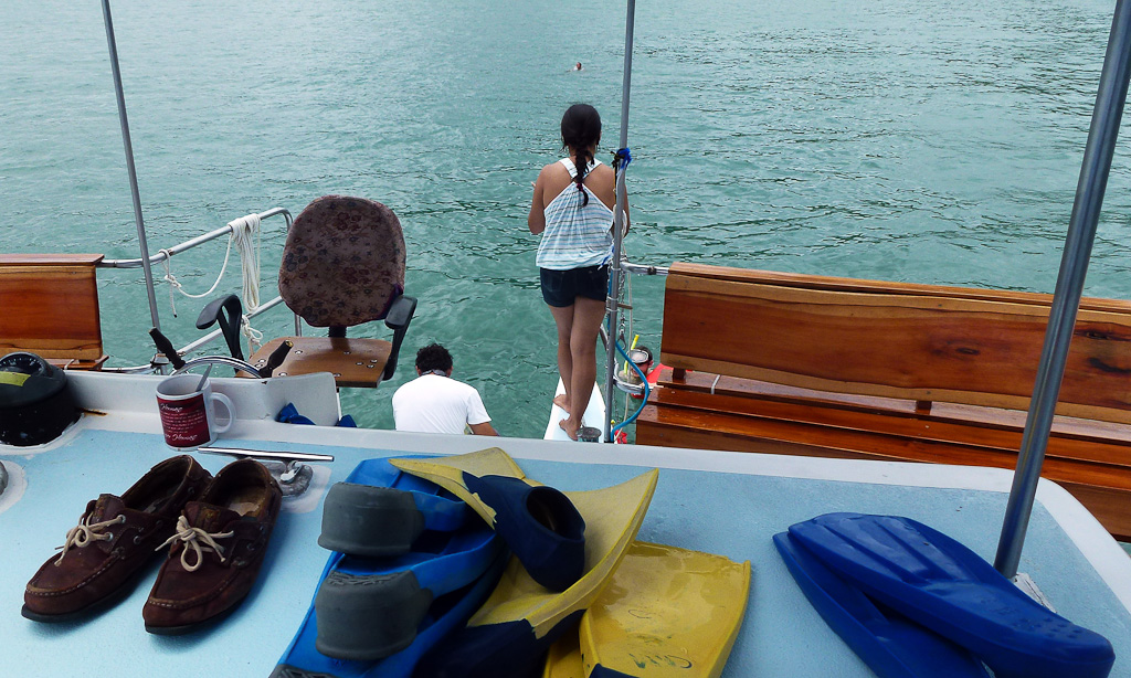 sunset sails catamaran flippers 6.jpg