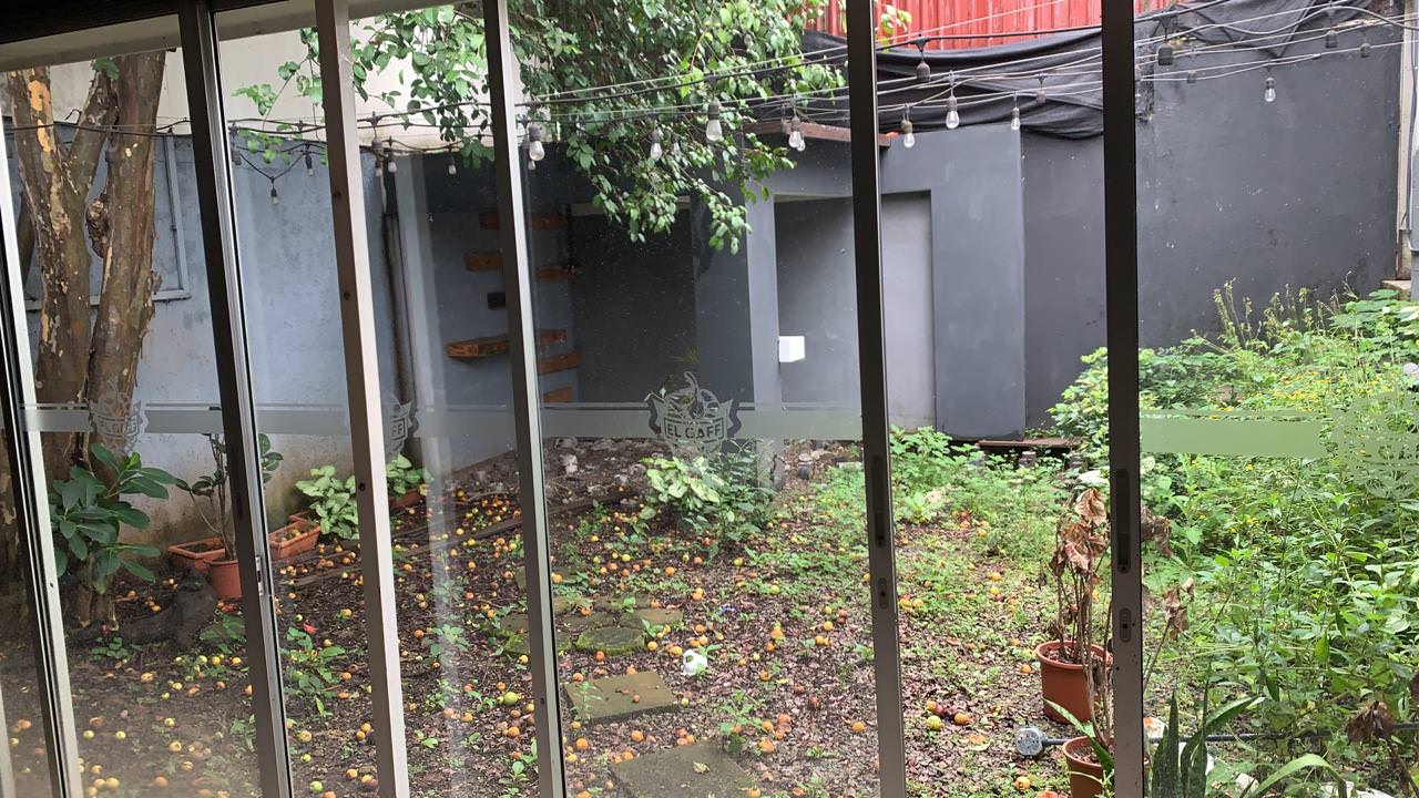 elegant brick and wood residence for sale or lease in san jose view 023.jpg