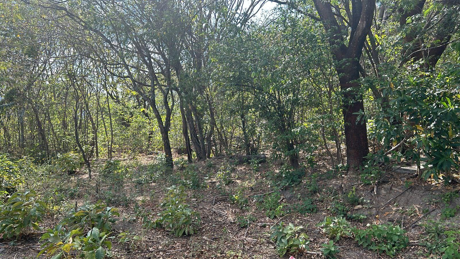 santa ana route 27 frontage 8 8 acre parcel buy one or all three parcel view 016.jpeg