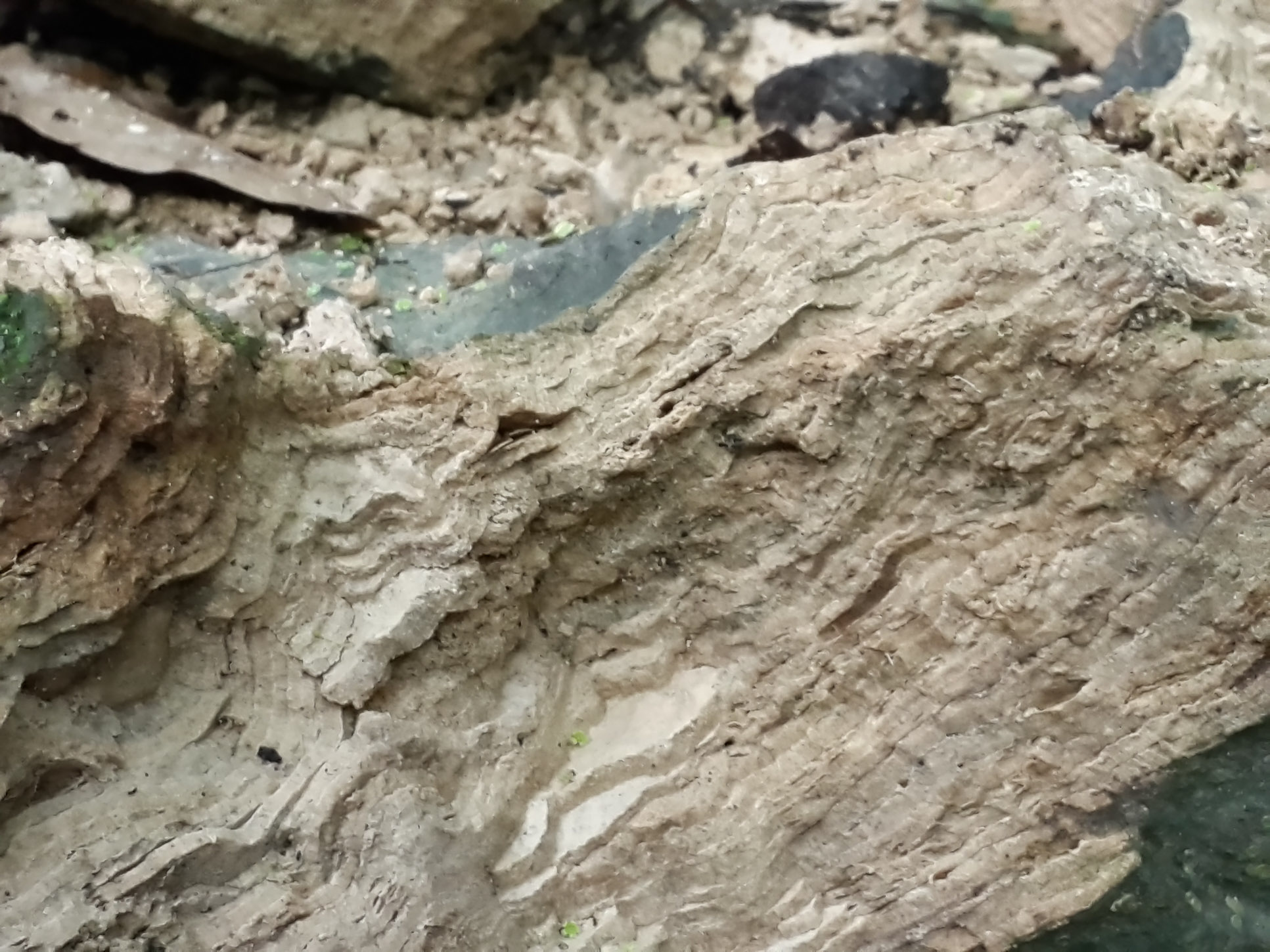 mineral sediments of water in samara 10.jpg
