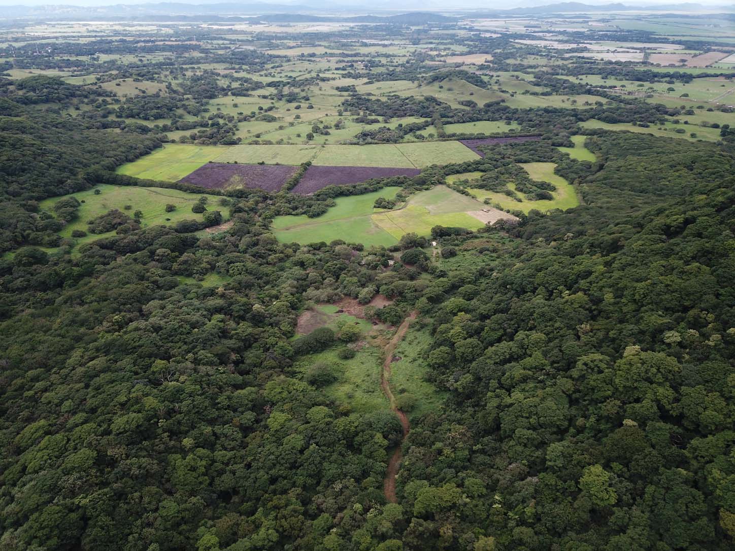 agricultural land for sale one hour away from liberia airport view 002.jpg
