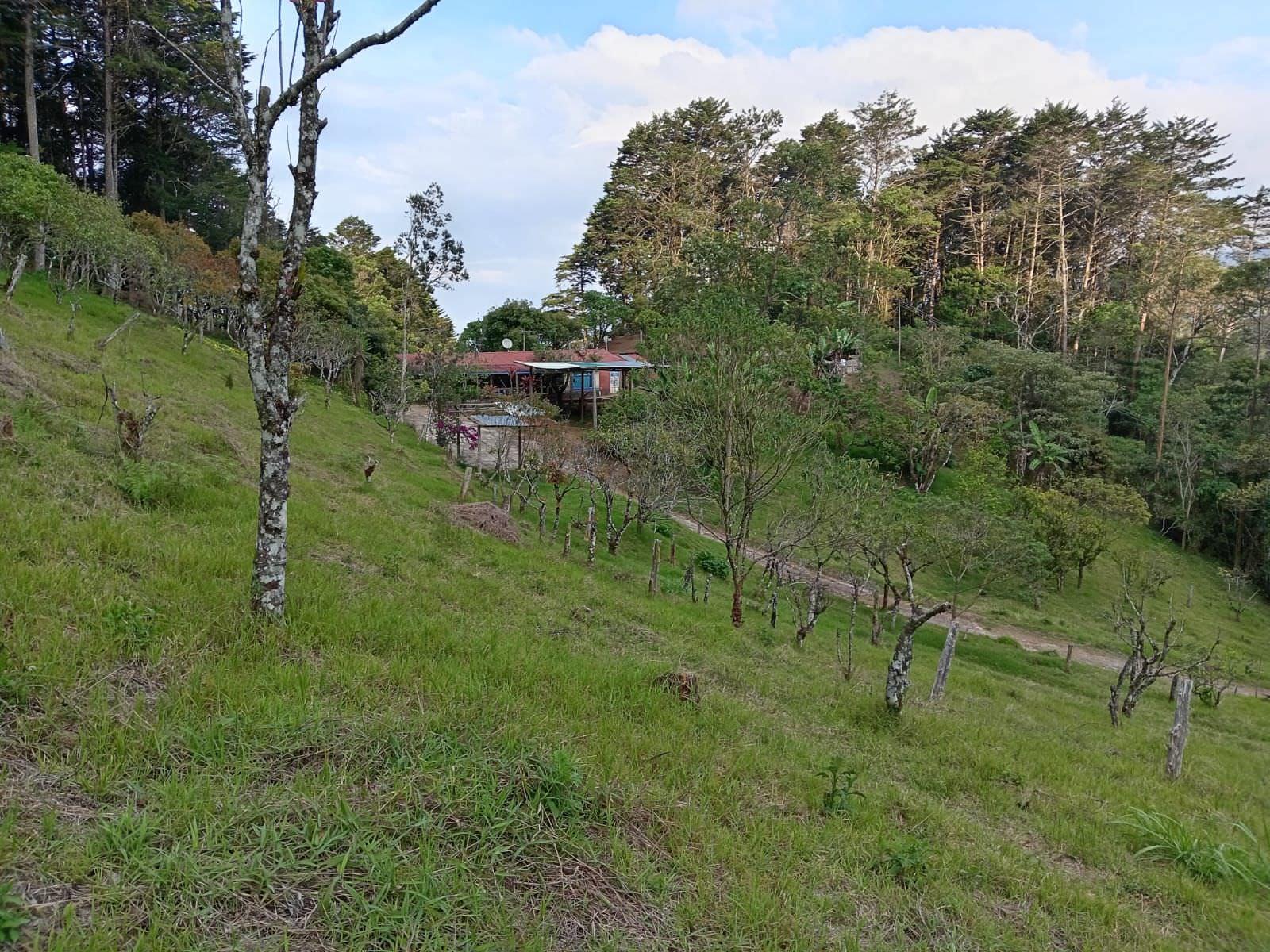 lots in the mountains of cartago for sale view 015.jpeg