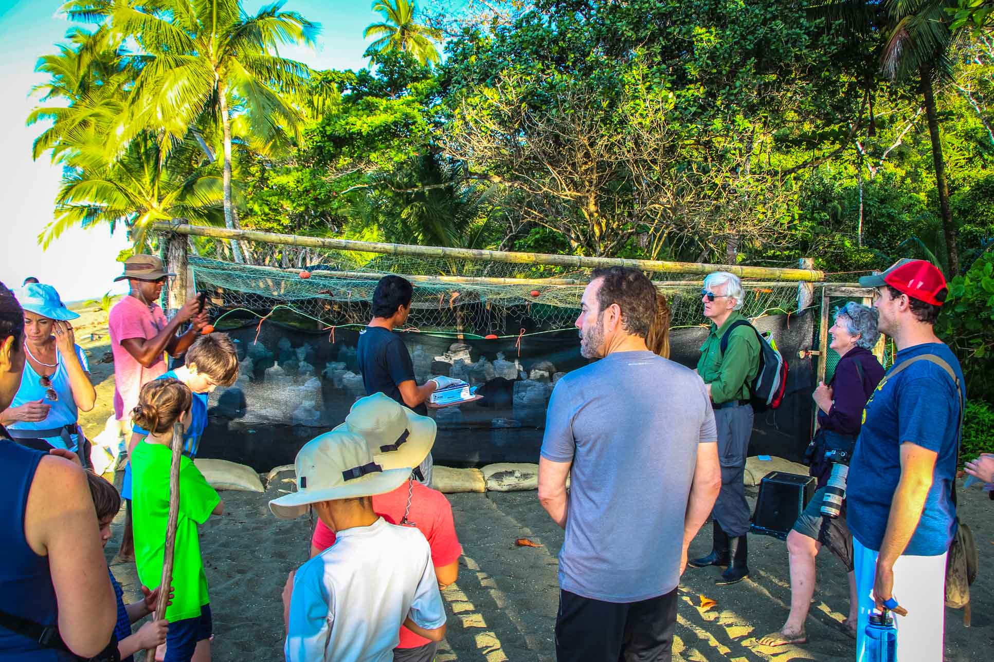 Talk Turtle Hatching At Piro Beach Costa Rica