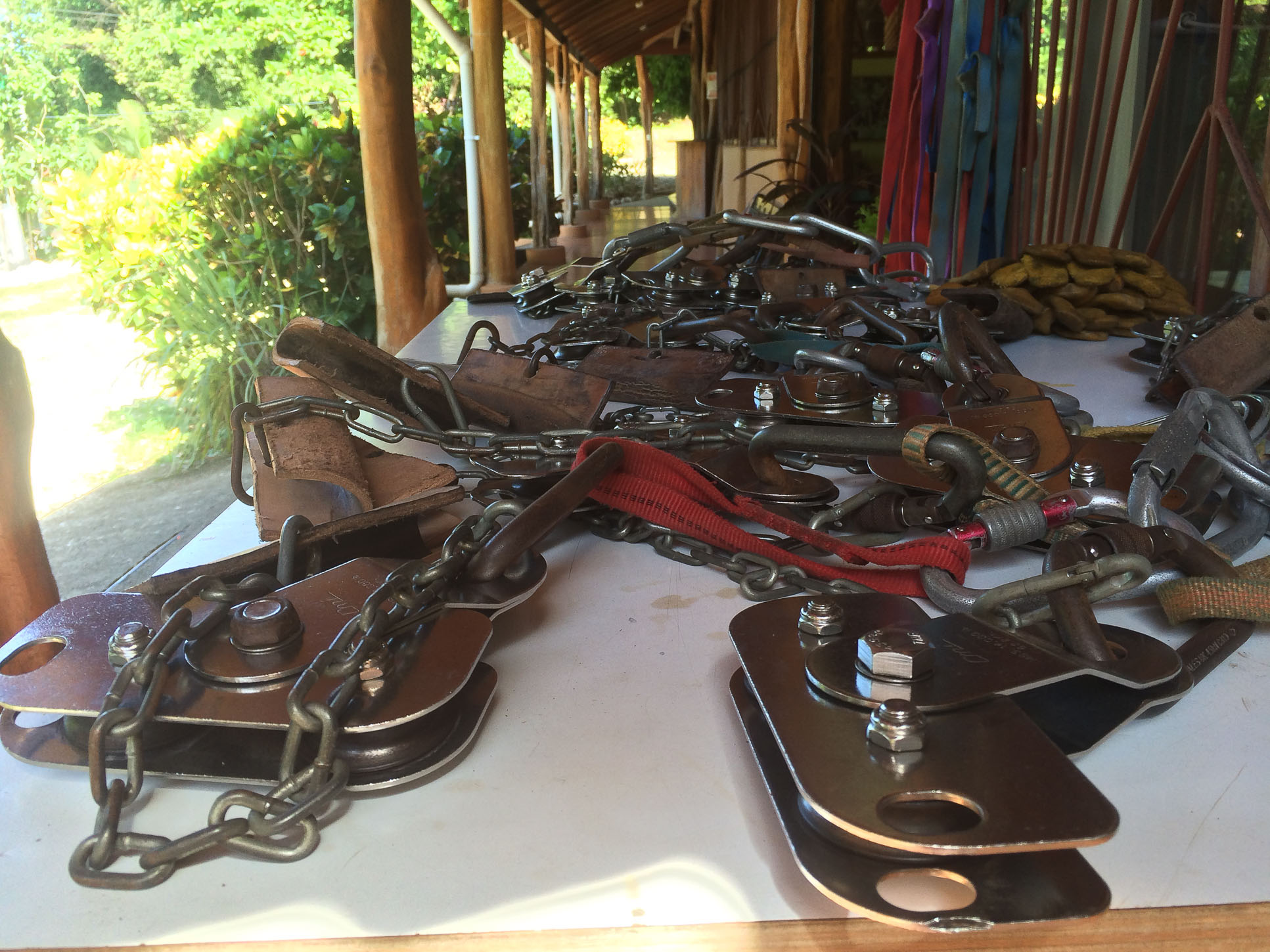 equipment ready at wingnutscanopy 11.jpg