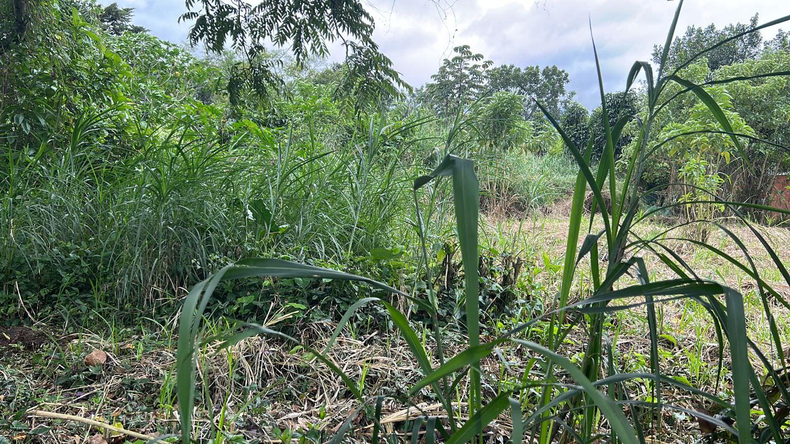 planned construction plot for sale in escazu view 002.jpeg