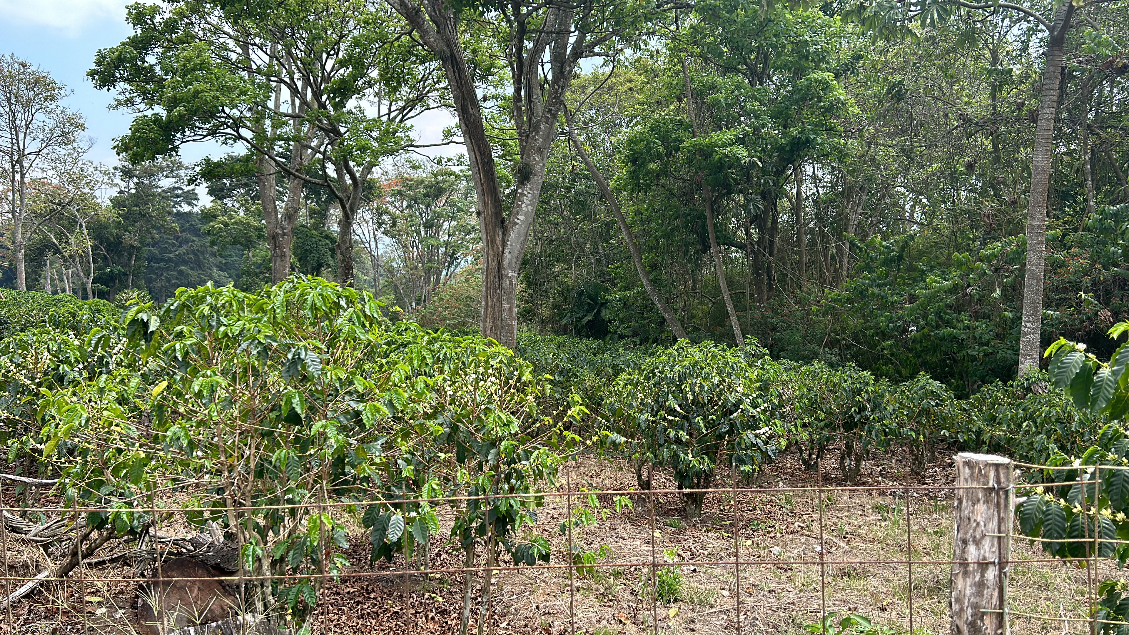 cul de sac residential development lot view 016.jpg