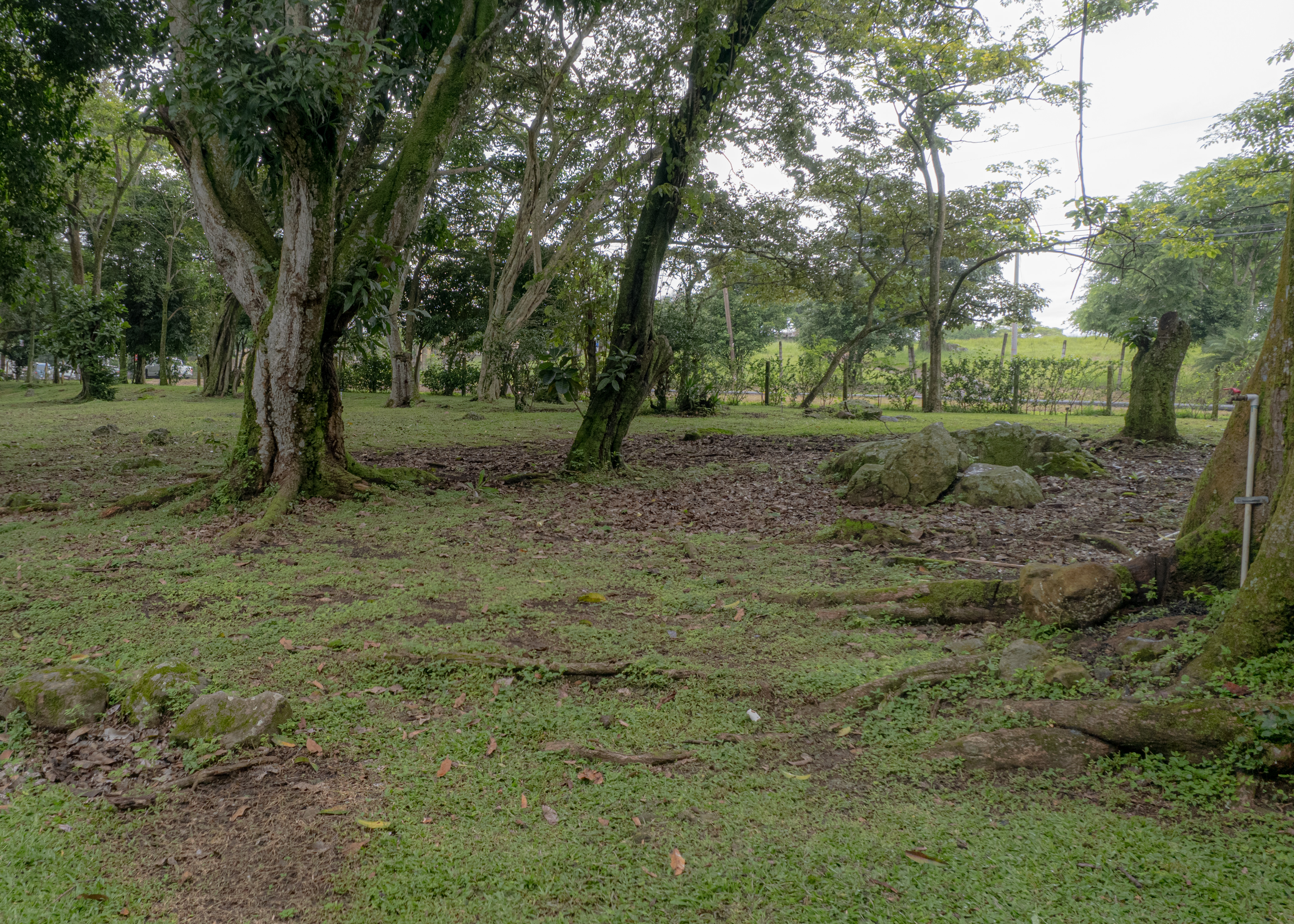 land for residential or industrial use near alajuela airport sjo view 013.jpg