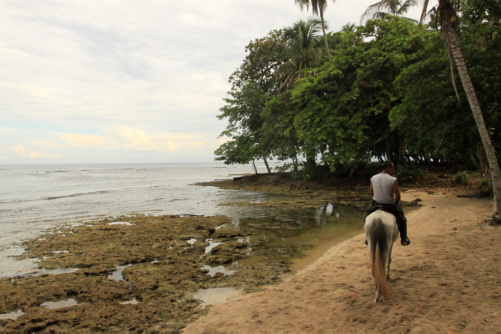 terraventuras beach horseback ride fossilzed reef 6.jpg