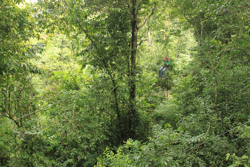 titi canopy tour guide in forest 3.jpg