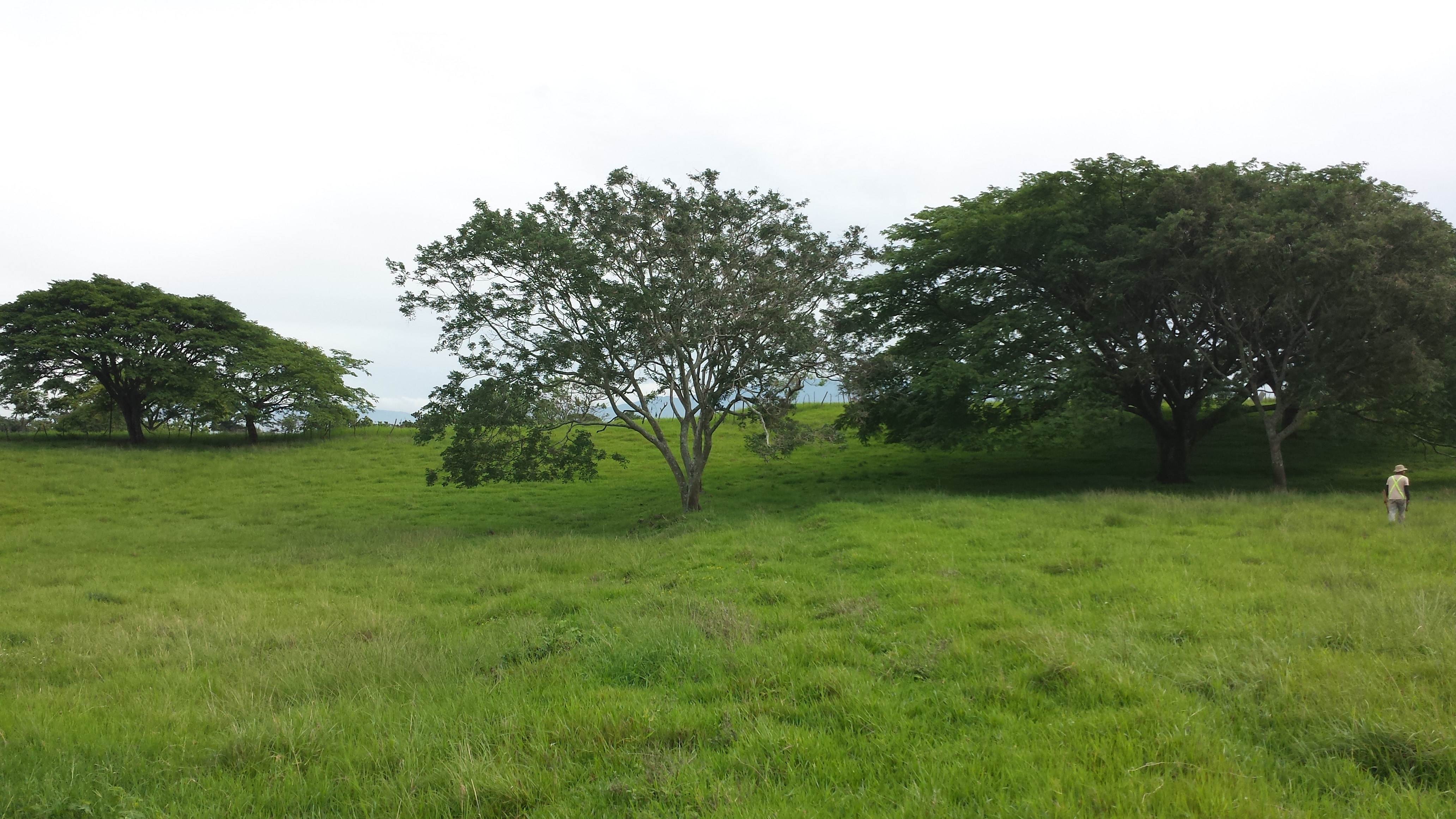 residential development site in alajuela view 005.jpg