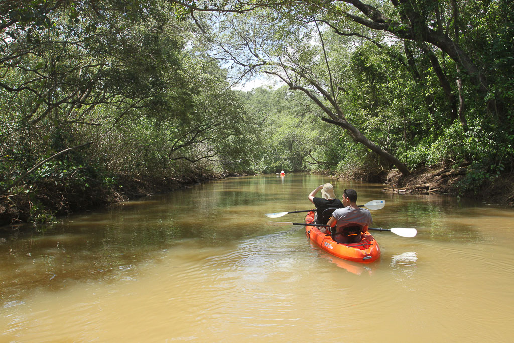behind kayak in action4.jpg
