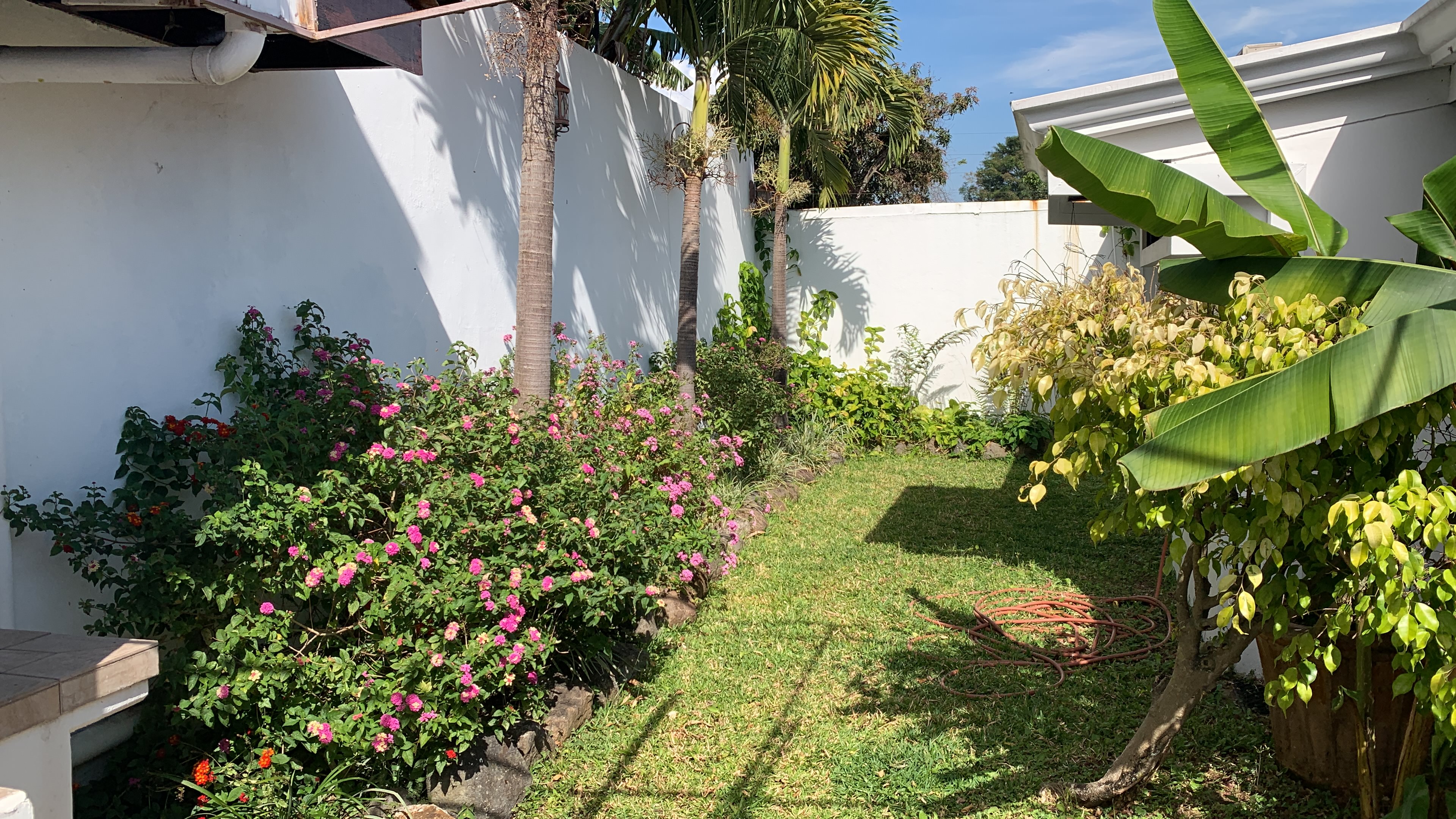 commercial use house for sale in san pedro view 035.jpg