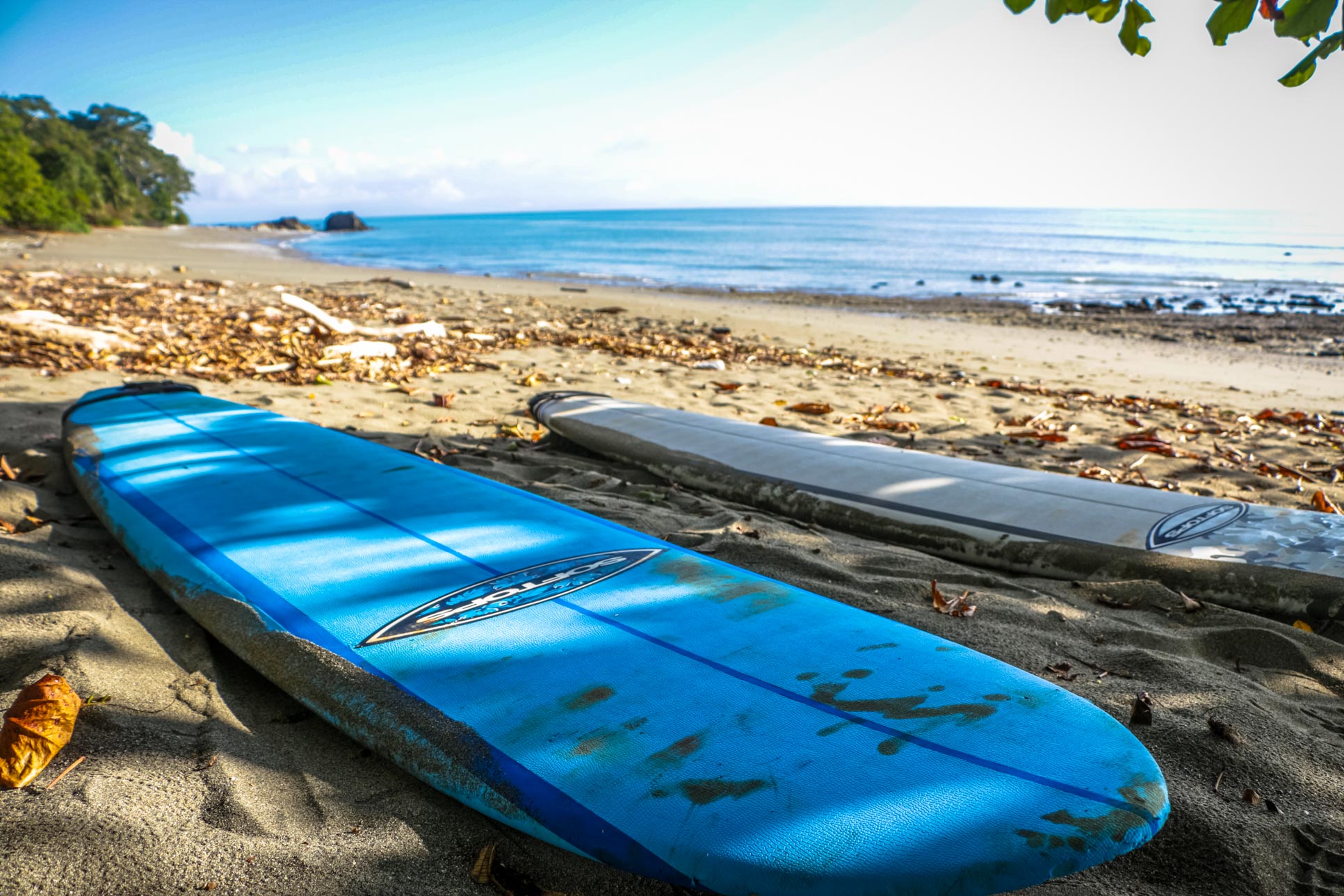 pollo surfing costa rica 237.jpg