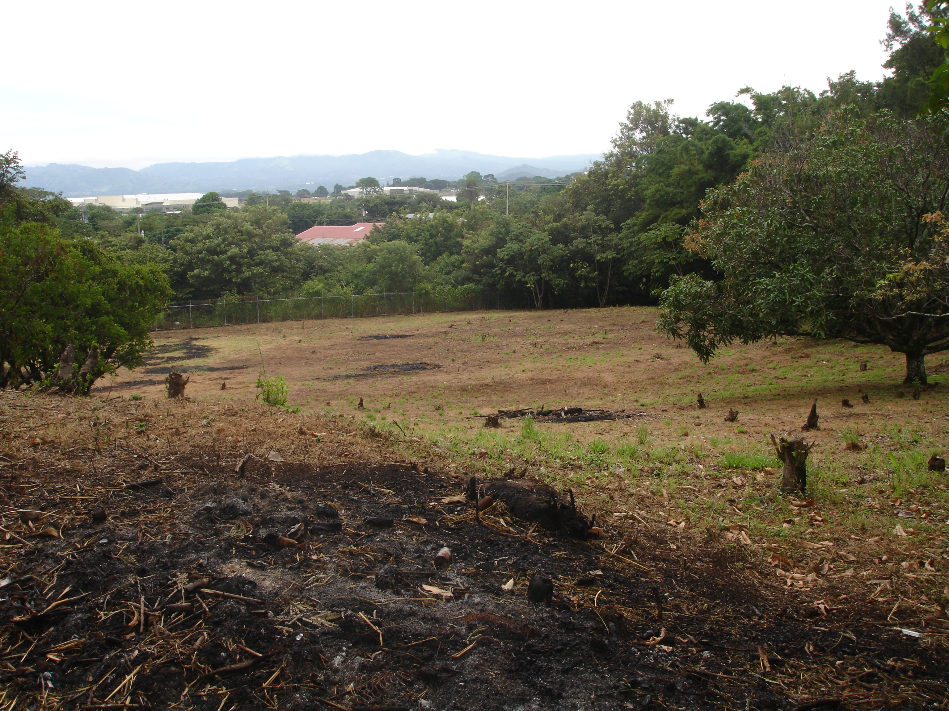land for commercial or industrial development in alajuela view 004.jpg