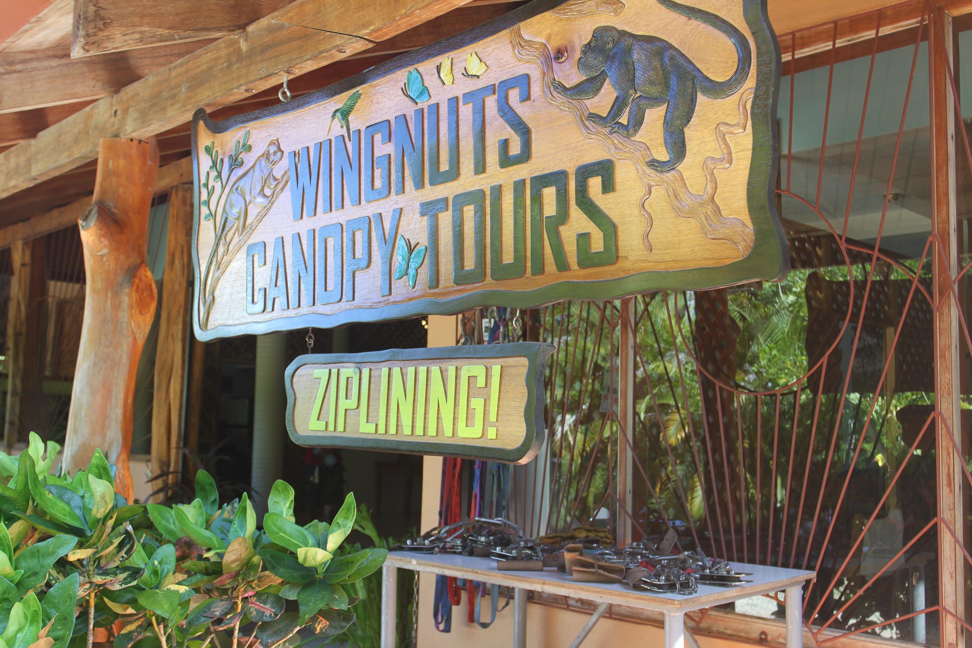 wingnuts canopy tours entrance 10.jpg
