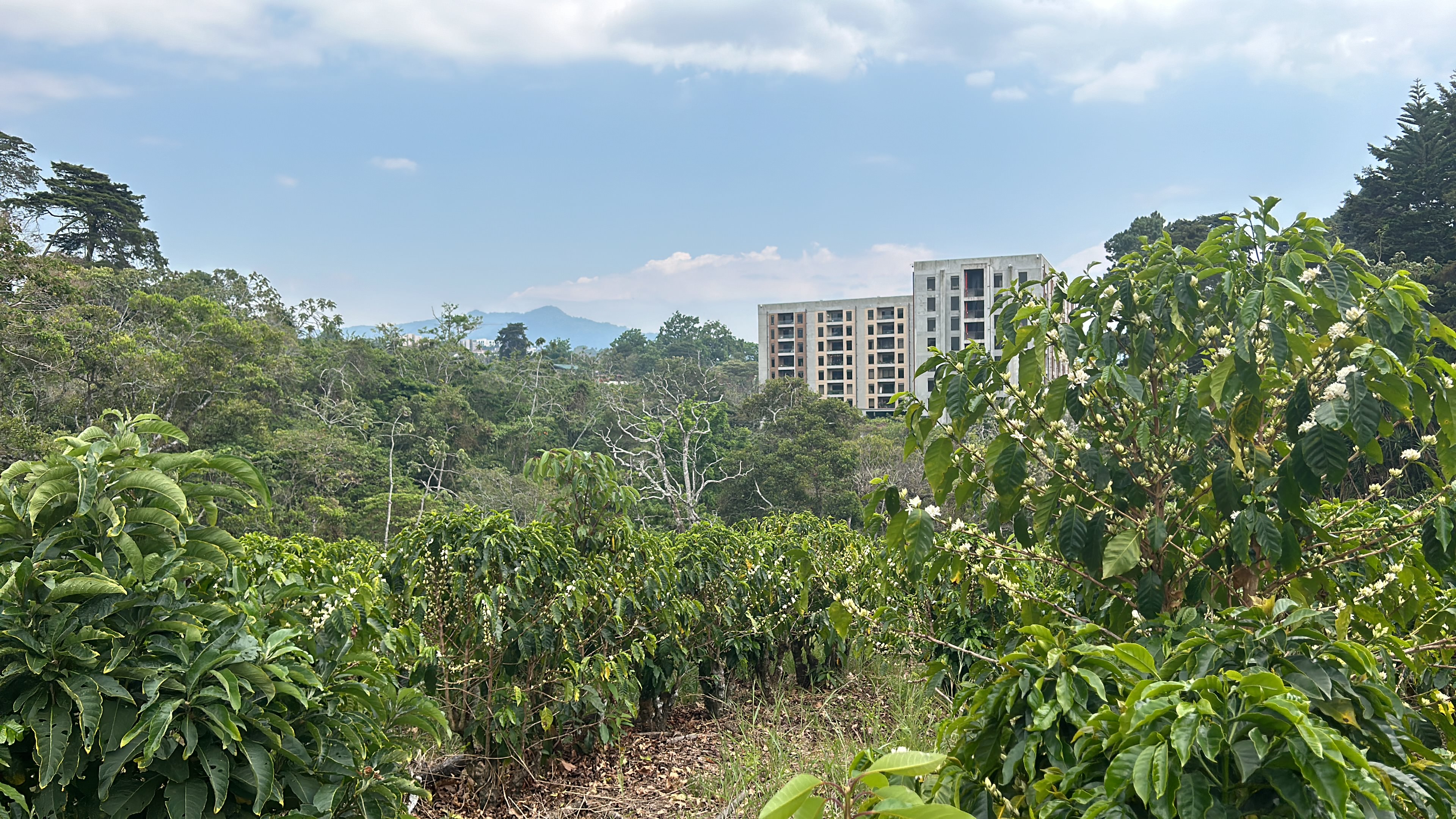 cul de sac residential development lot view 024.jpg