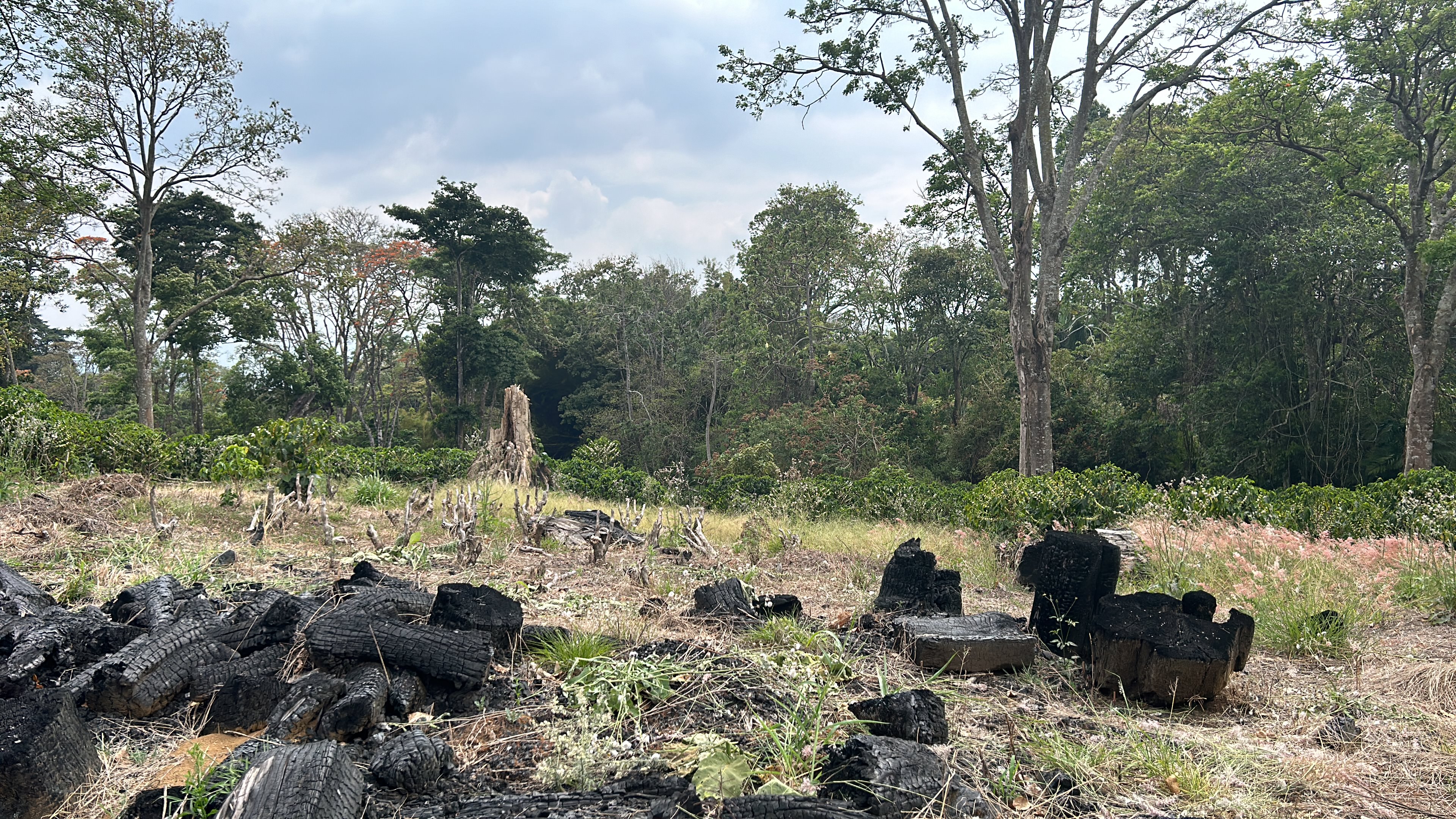 cul de sac residential development lot view 019.jpg