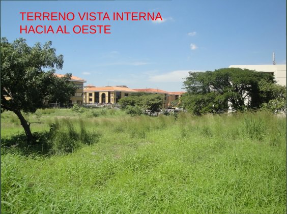 development site in santa ana view 003.jpg