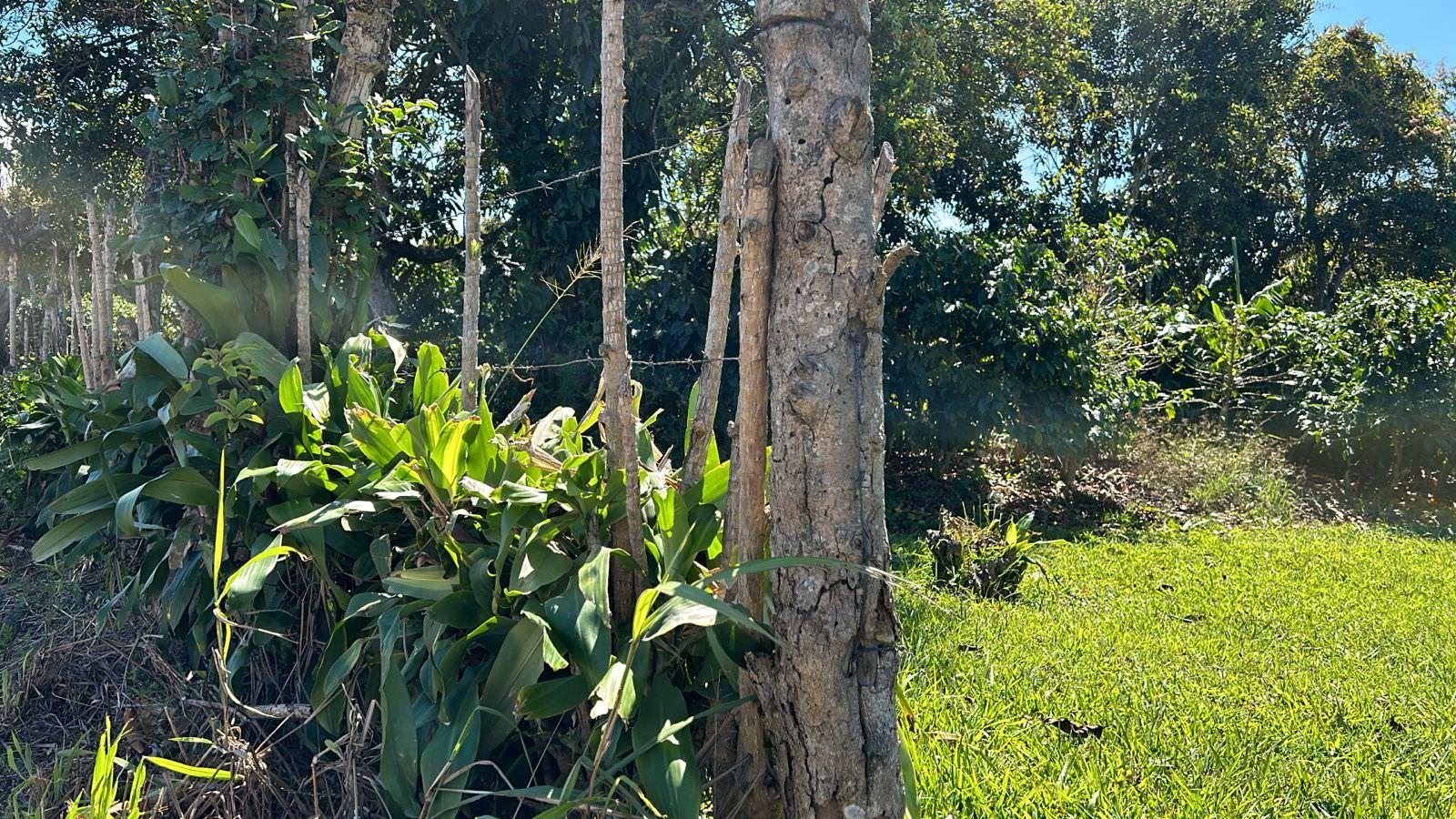 convert coffee farm into a mixed use development complex view 005.jpeg