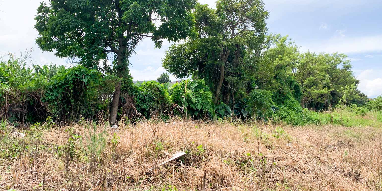 land for development in heredia view 004.jpg