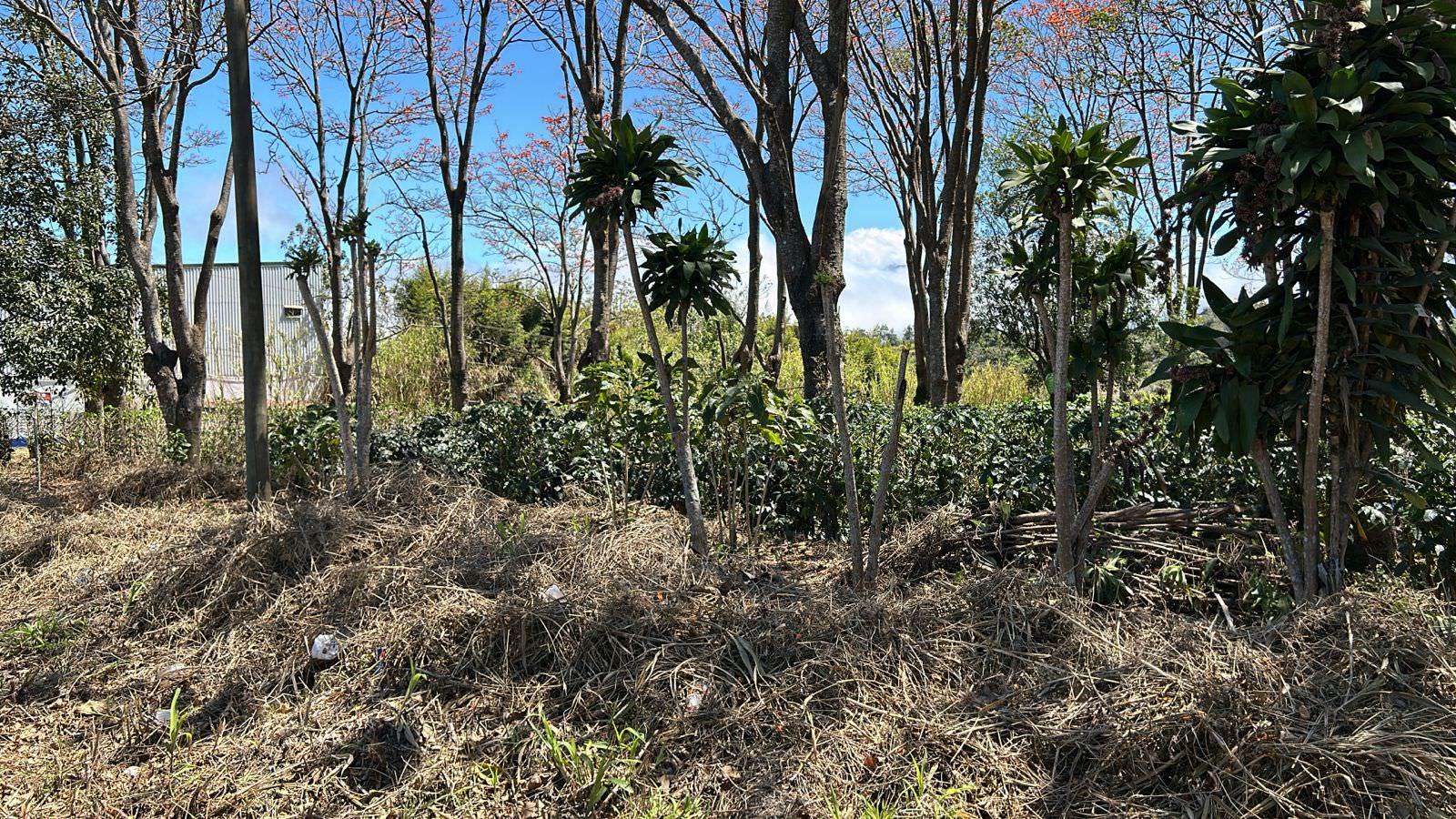 vacant lot under protected zone for development on route 32 san jose view 002.jpeg
