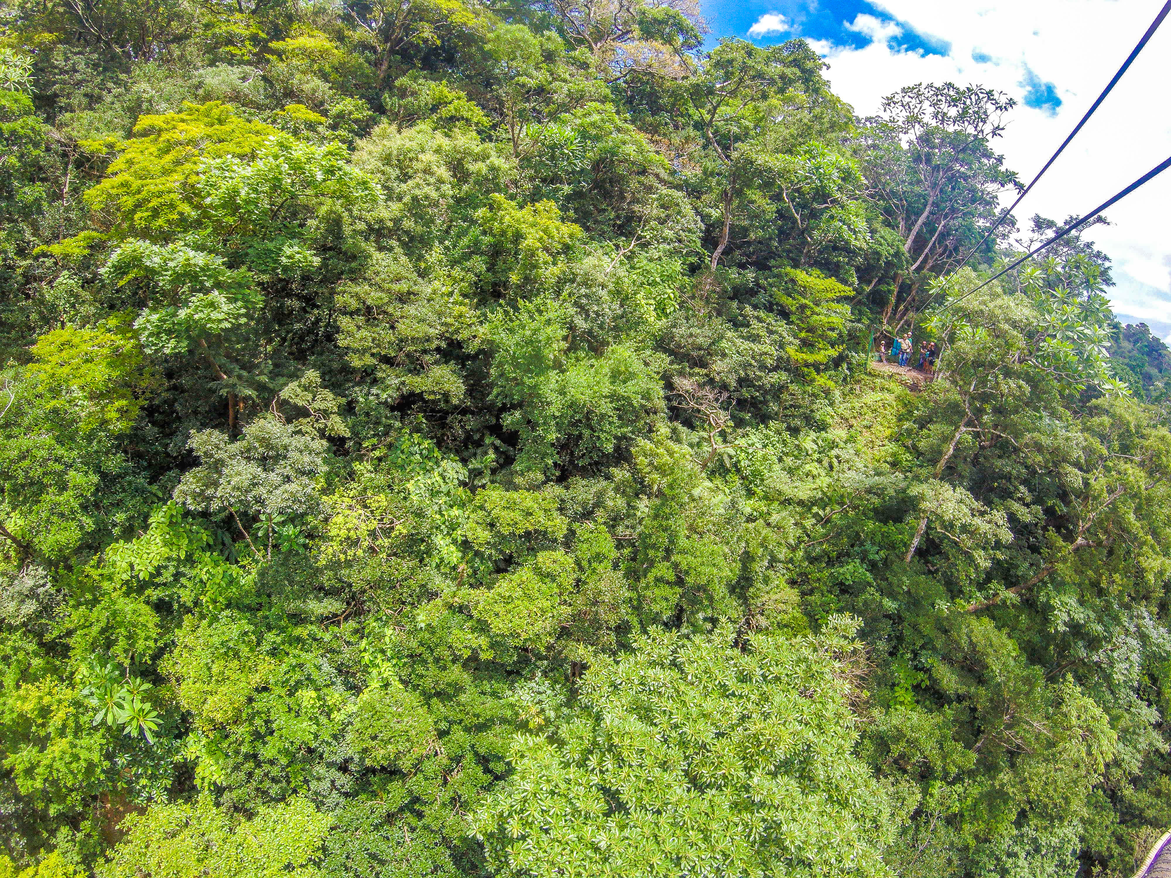 Forest View And Cable Going Into The Platform Tizati Zip Line Rincon De La Vieja