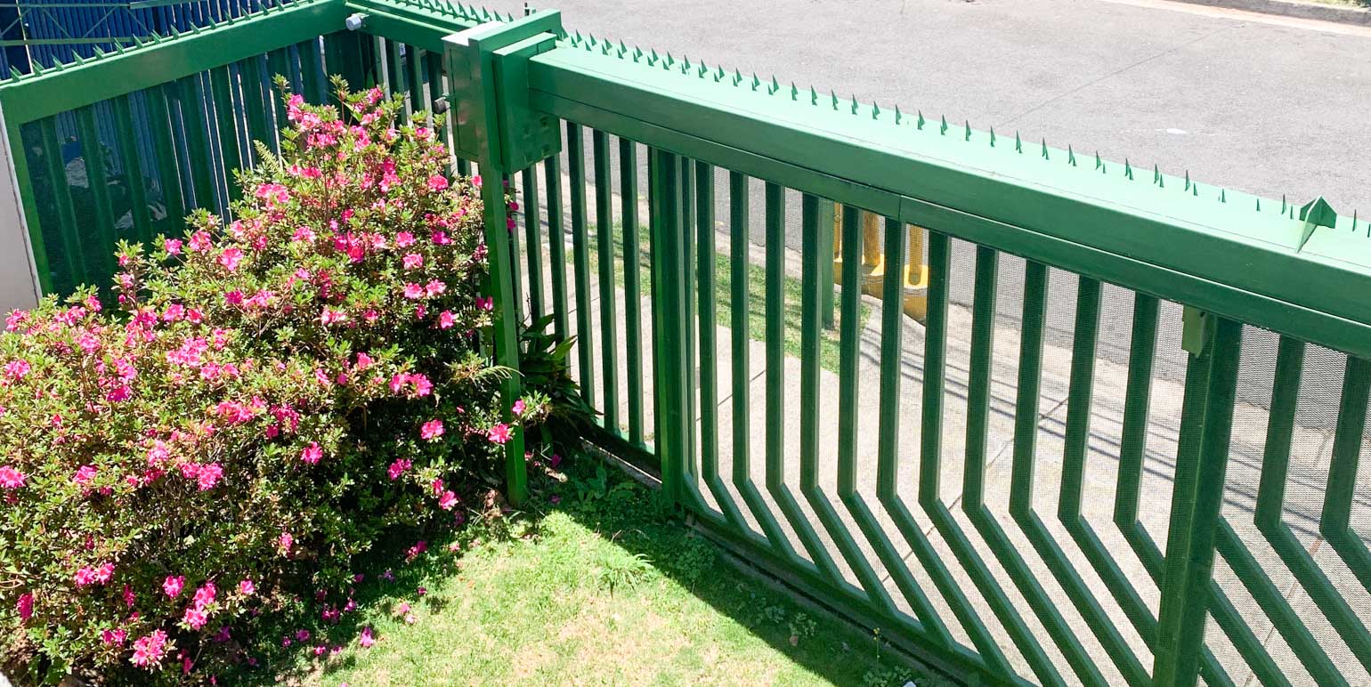 commercially zoned house for sale in sabana view 016.jpg