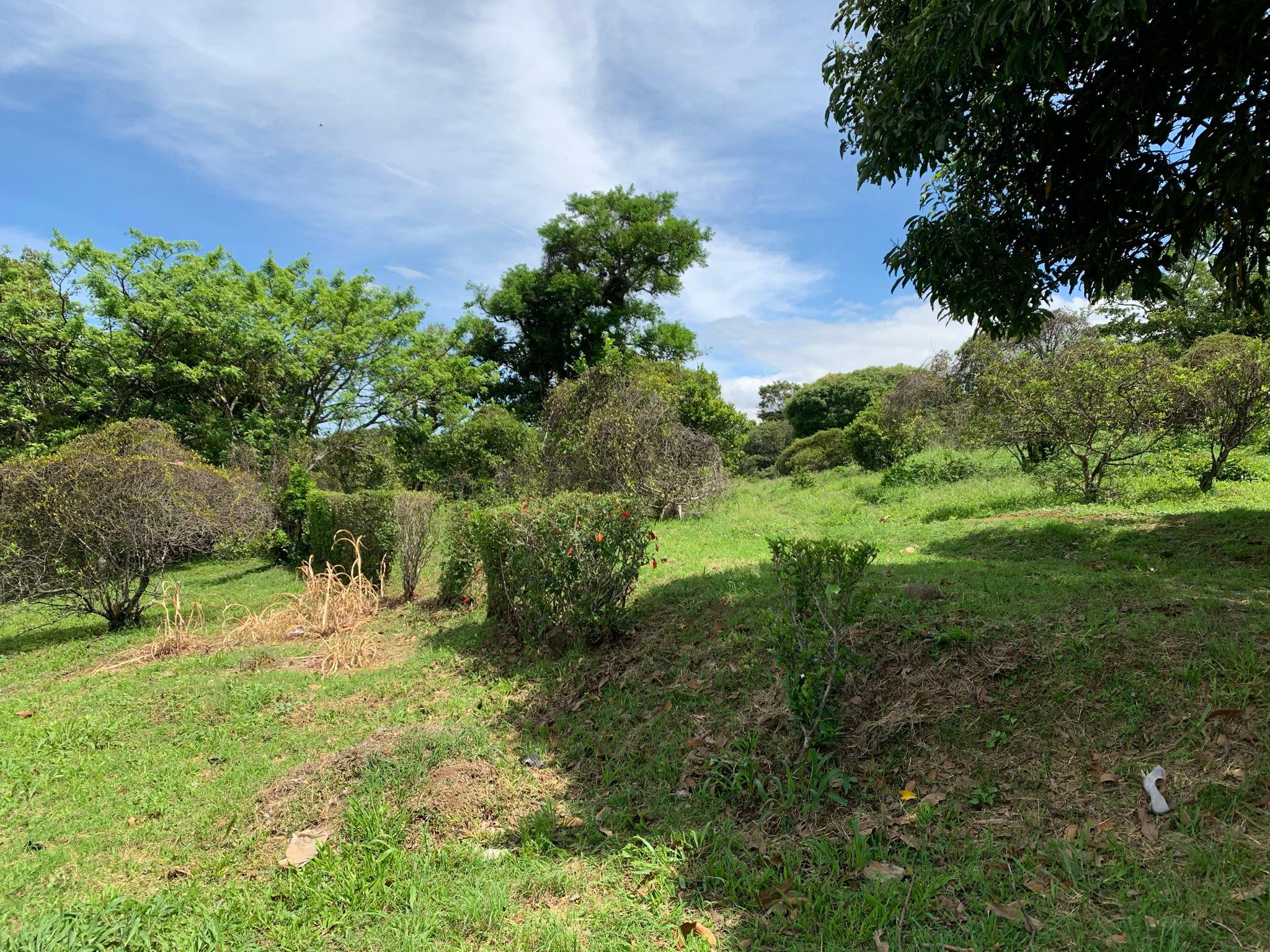adjacent lots available in up in the hills of heredia buy one or all view 012.jpeg