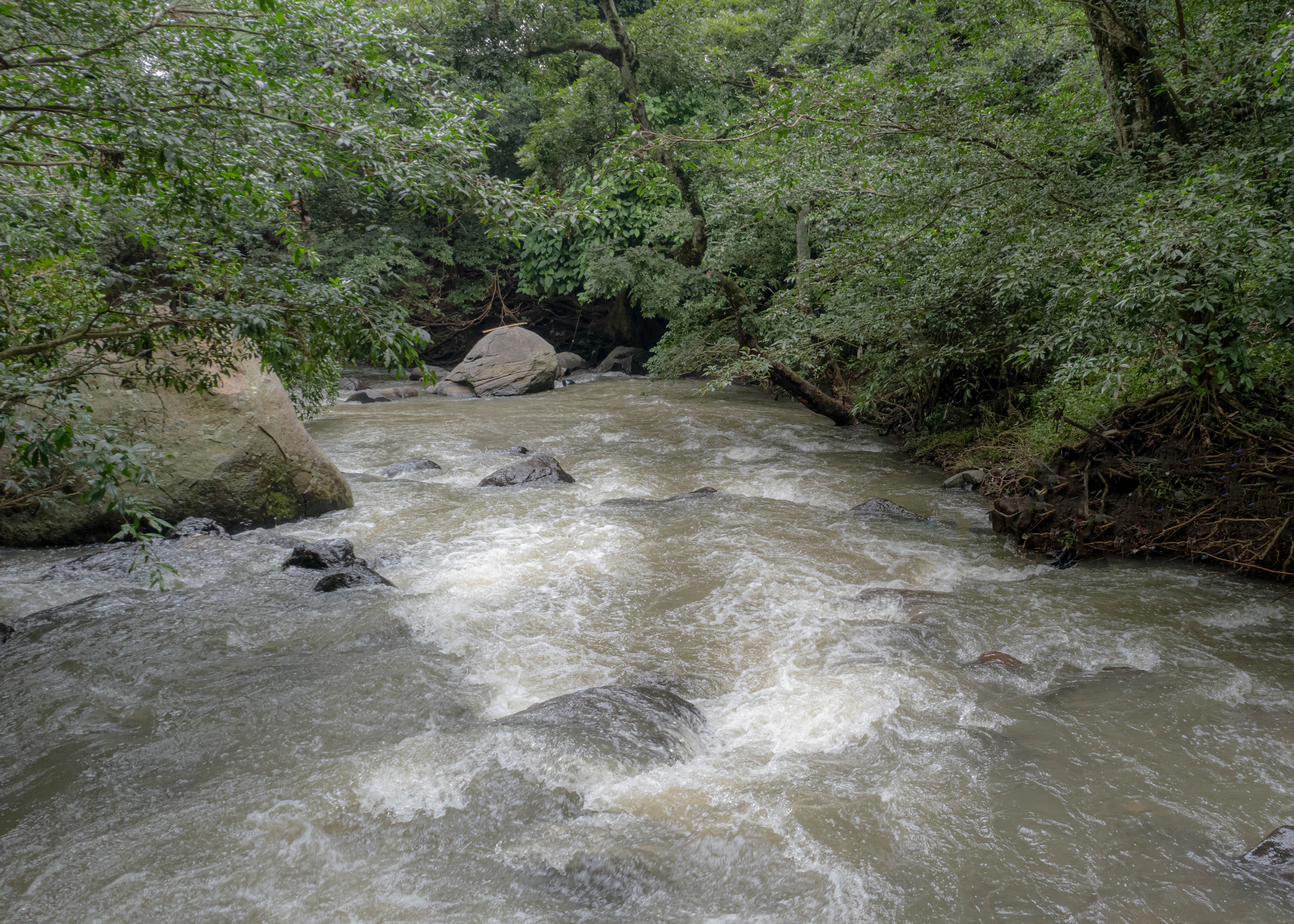 land for residential or industrial use near alajuela airport sjo view 003.jpg