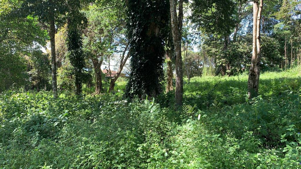 land for residential development in lomas de ayarco view 009.jpg