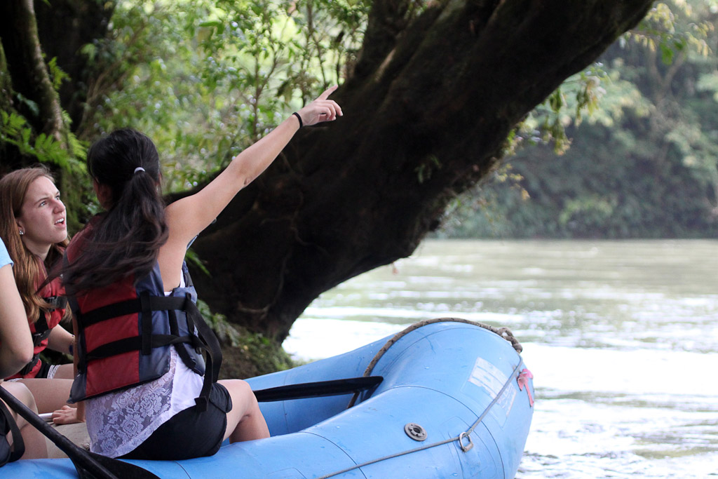 Friends looking for a Sloth